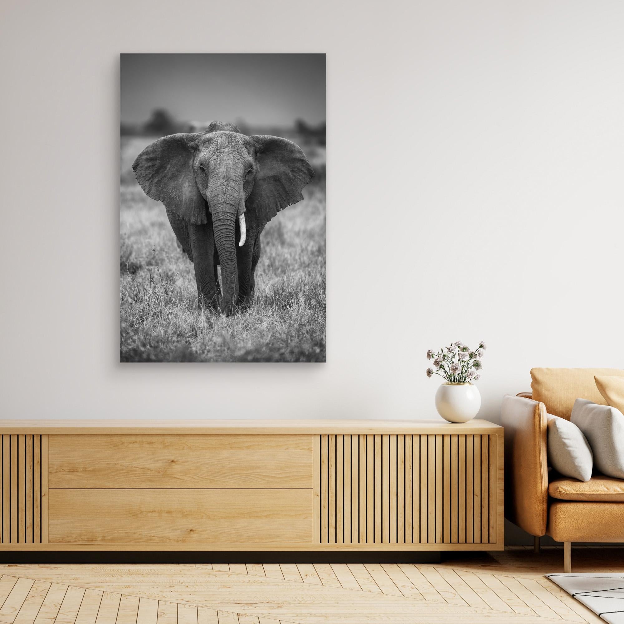 SINGULARITY by Jaco Marx Canvas