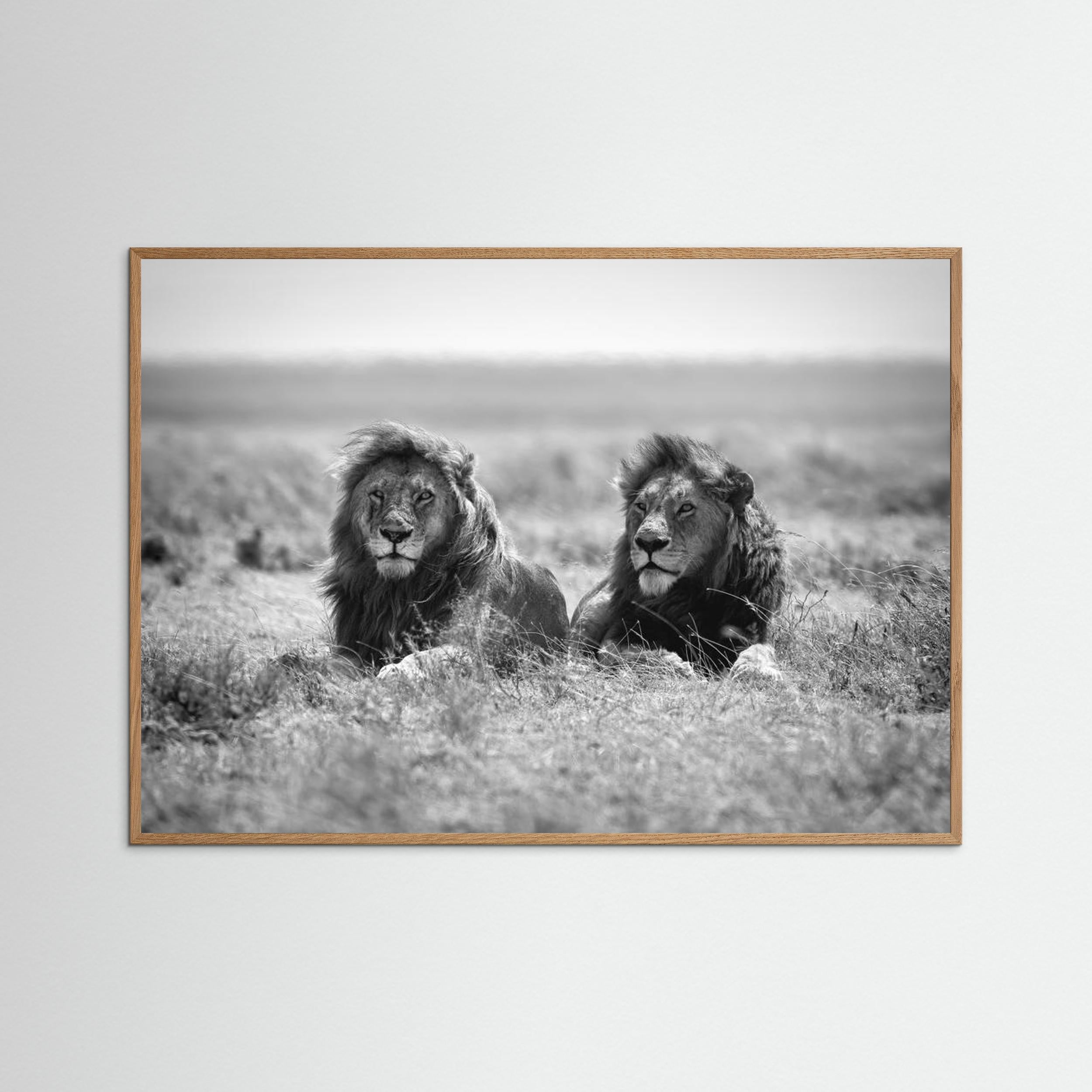 Two kings by Nicolás Merino Fine Art Paper 