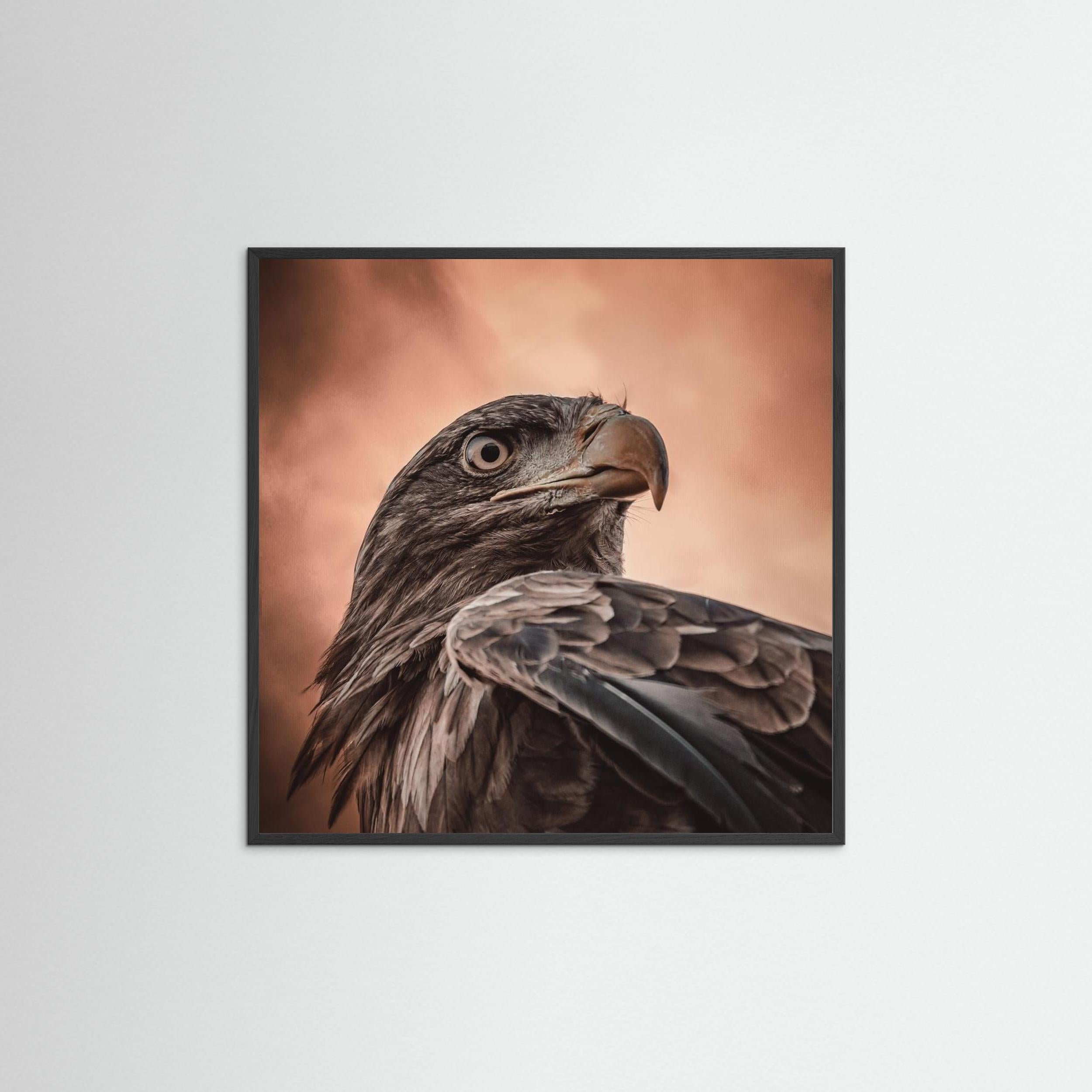 And his eyes saw everything.... by Natascha Worseling Fine Art Paper 