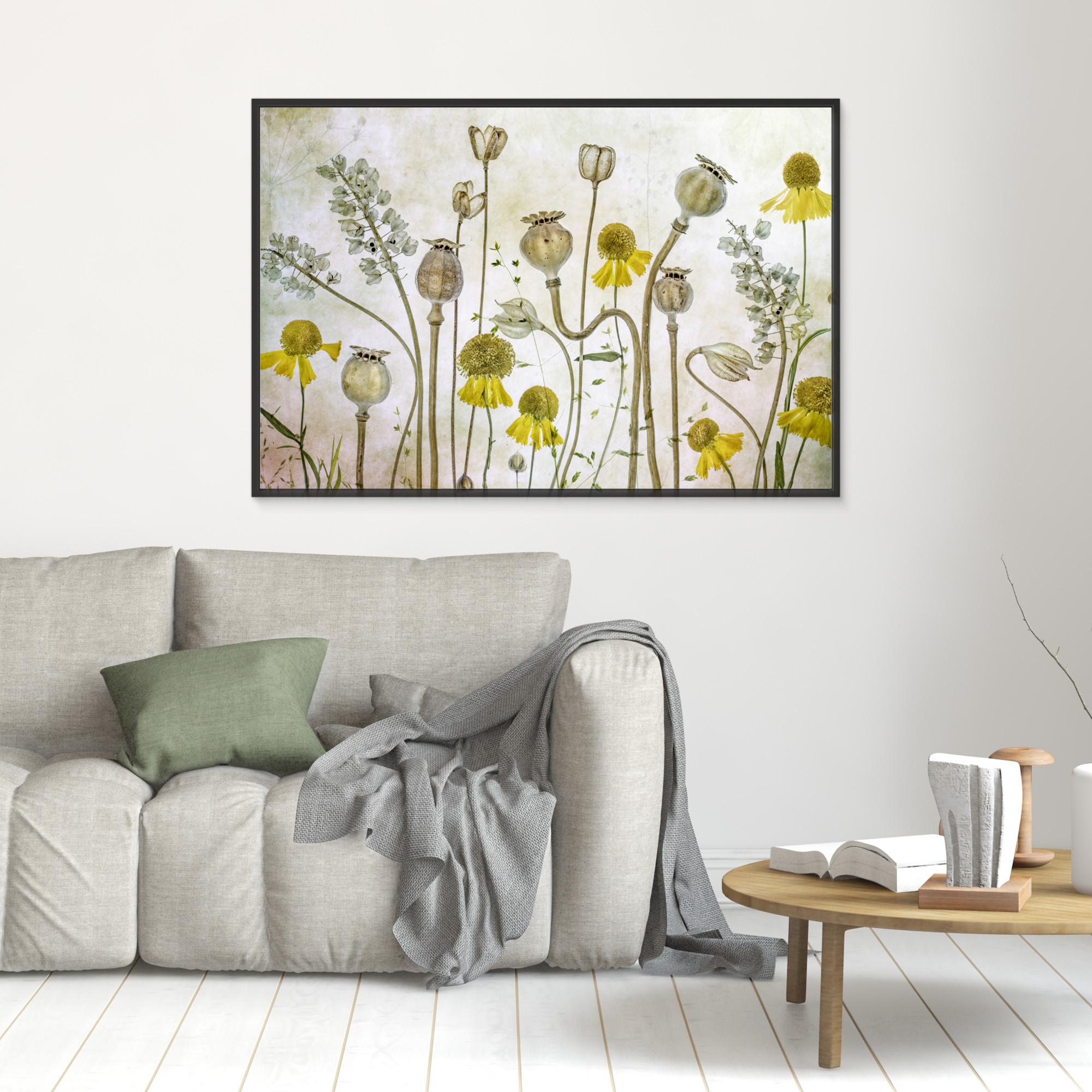 Poppies and Helenium by Mandy Disher