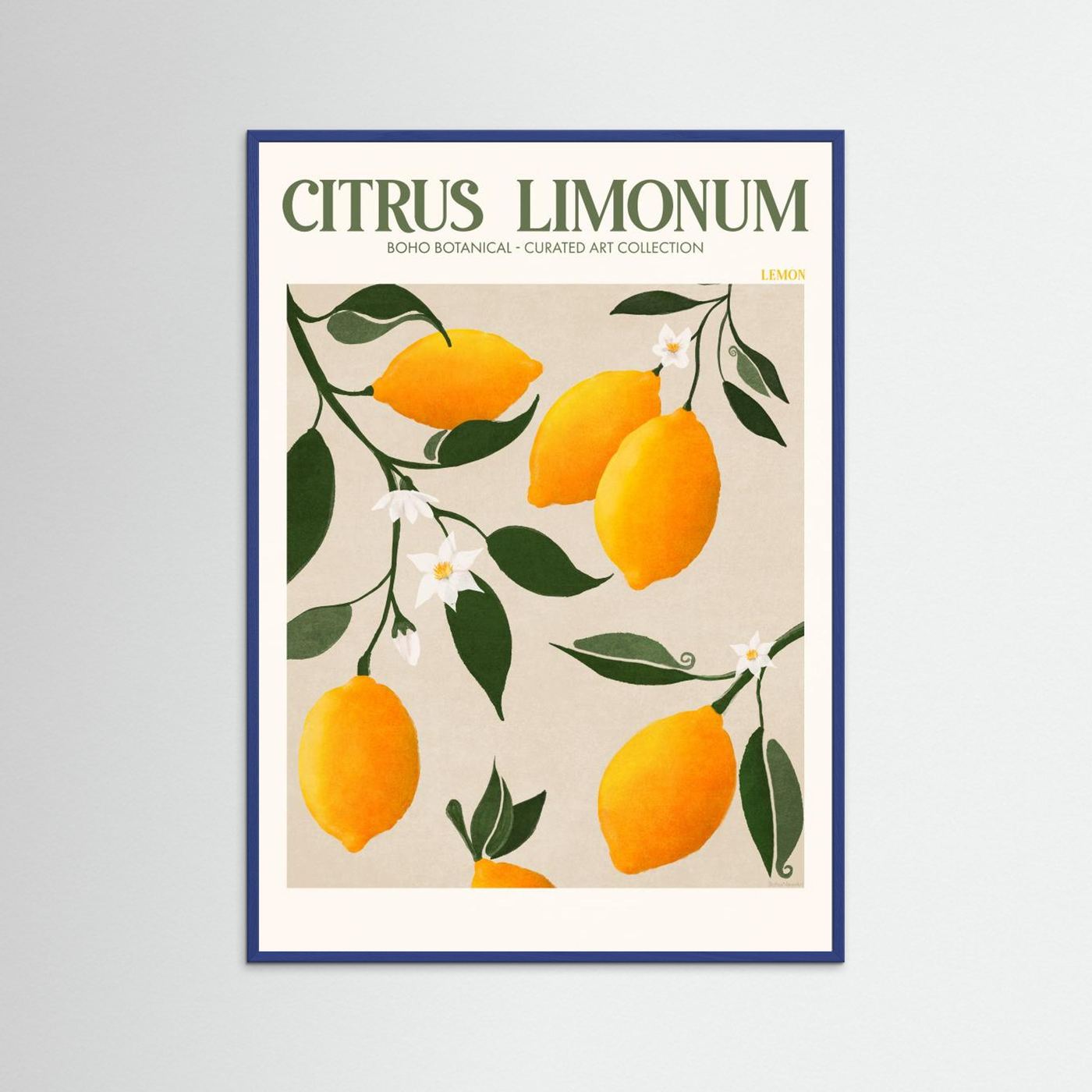 Citrus Limonum - Lemon by Emel Tunaboylu Fine Art Paper