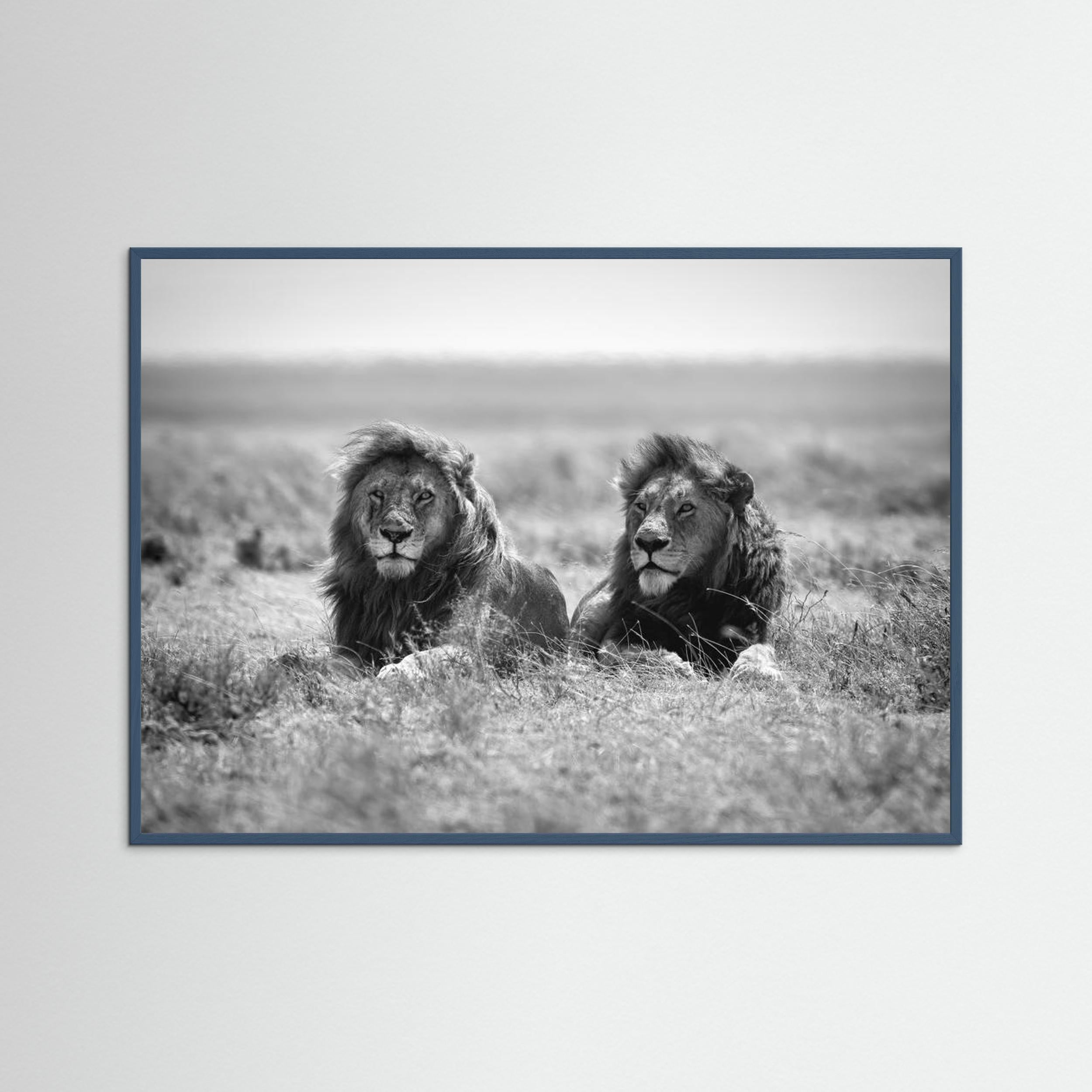 Two kings by Nicolás Merino Fine Art Paper 