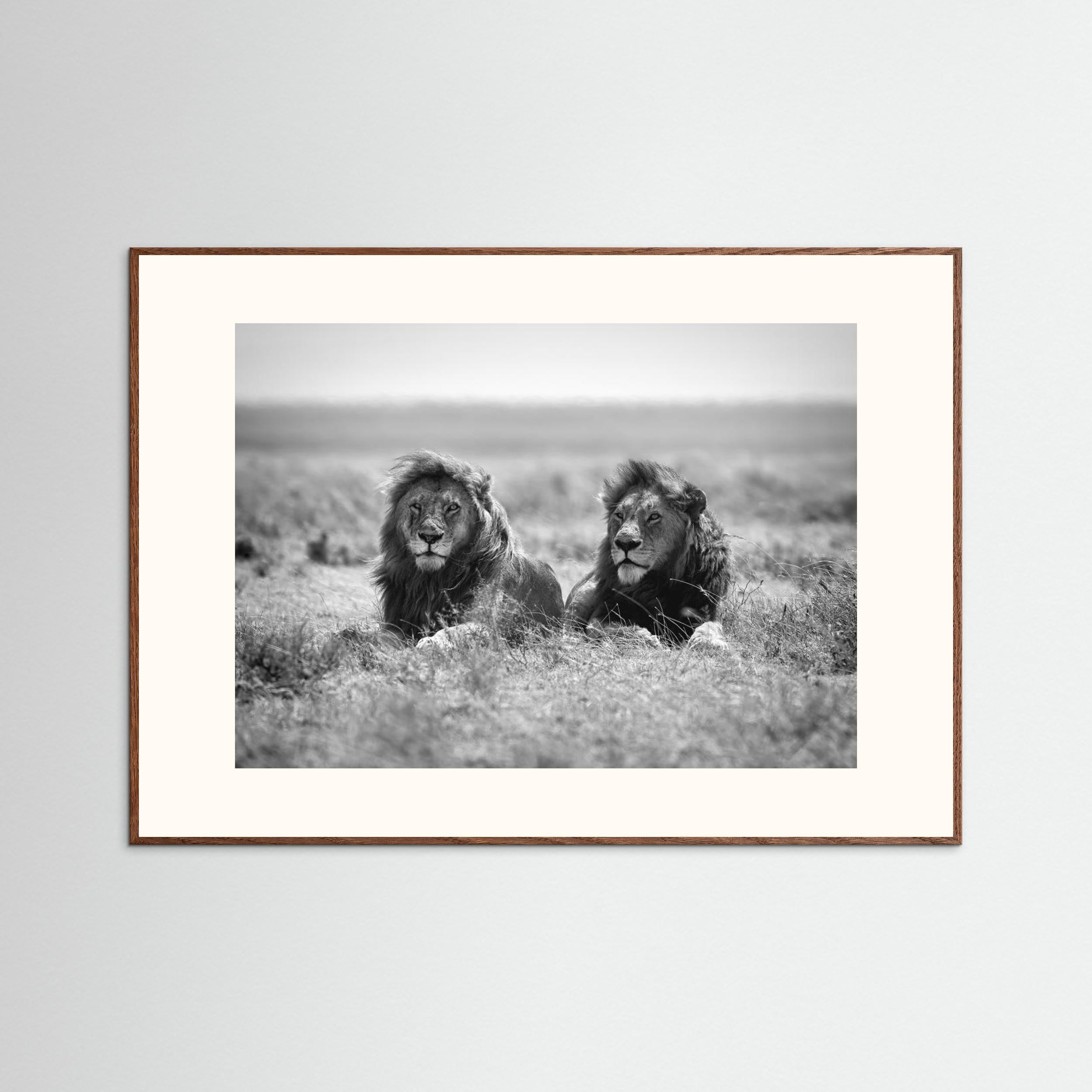 Two kings by Nicolás Merino Fine Art Paper 