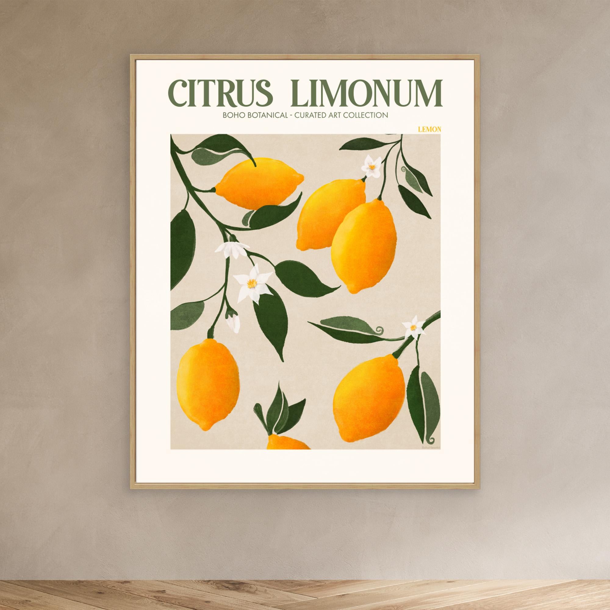 Citrus Limonum - Lemon by Emel Tunaboylu
