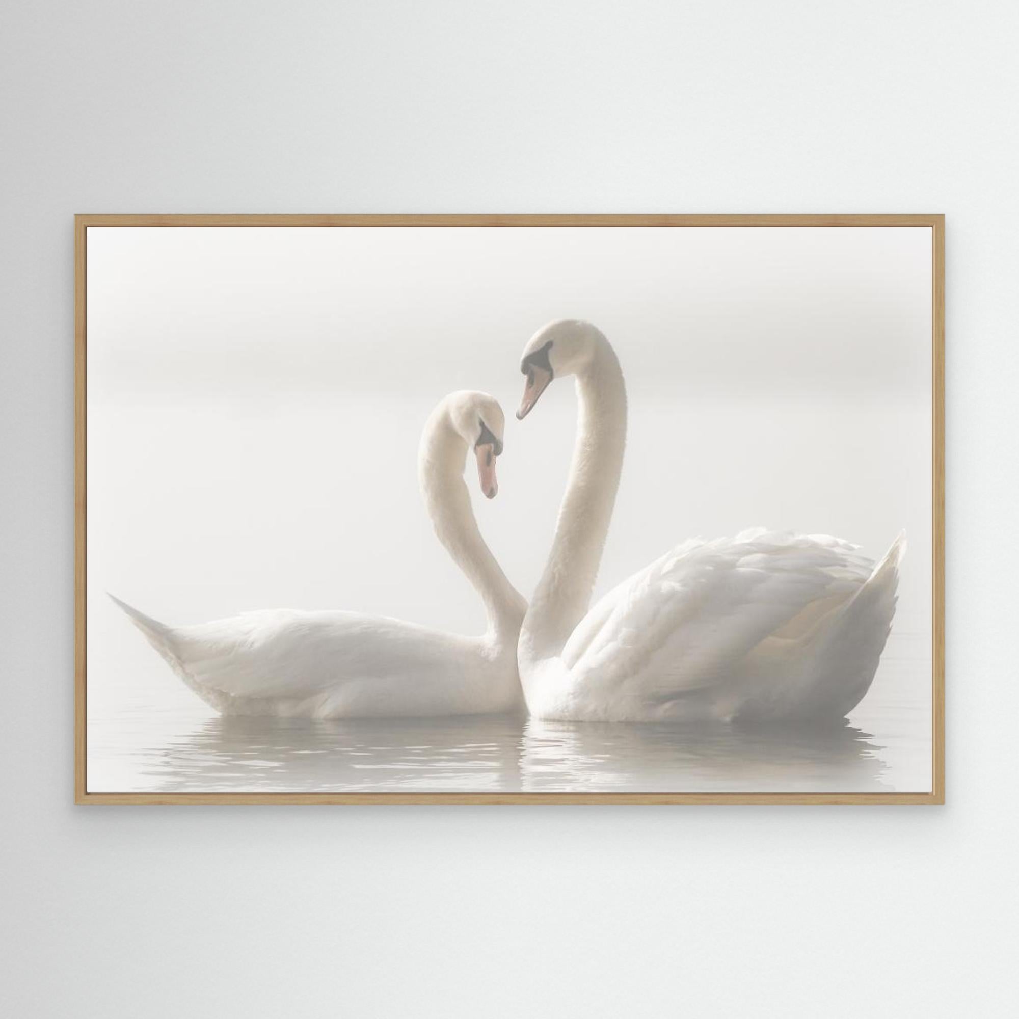 Forever by Monika Schwager Canvas