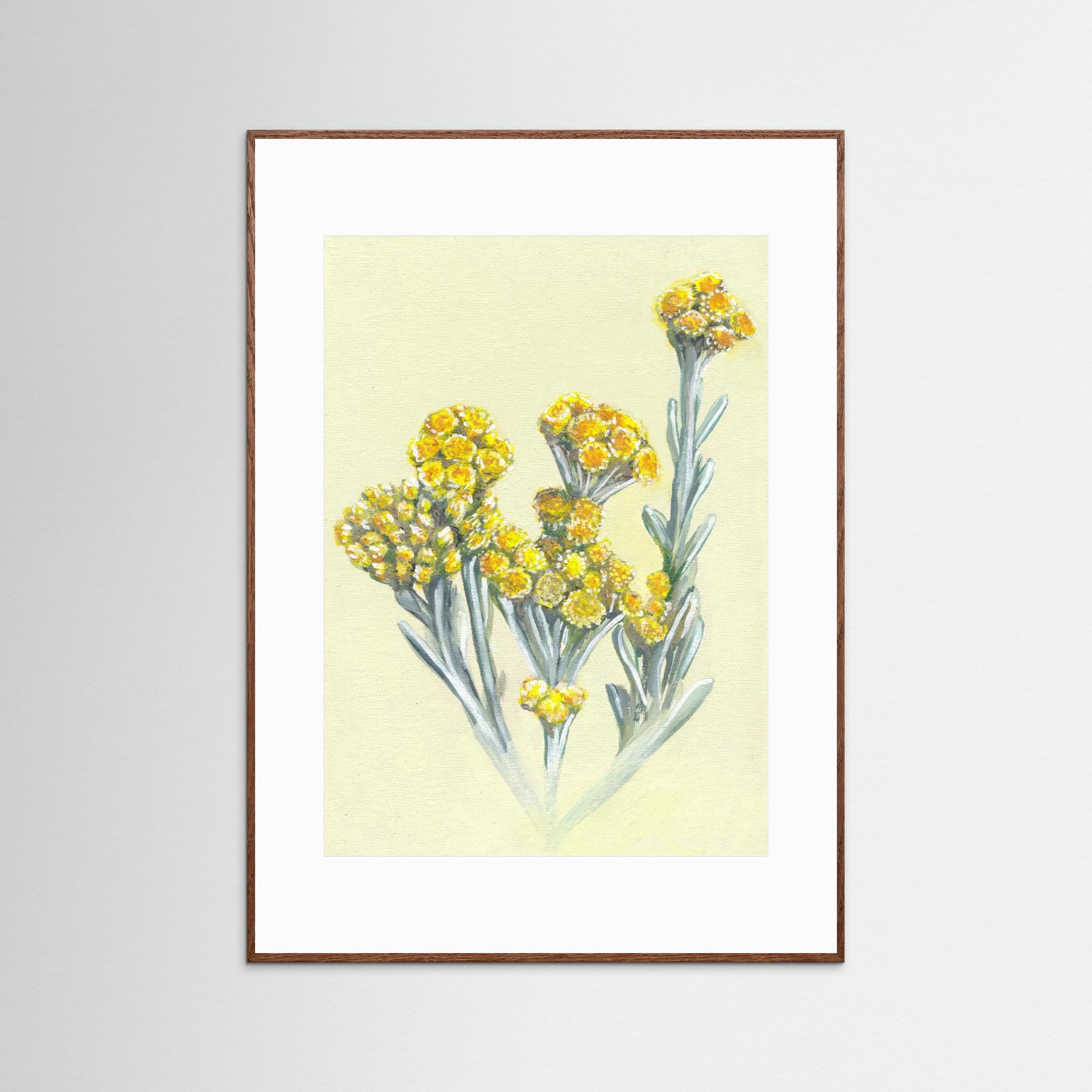 Cape Gold by Viccy Wanliss Fine Art Paper