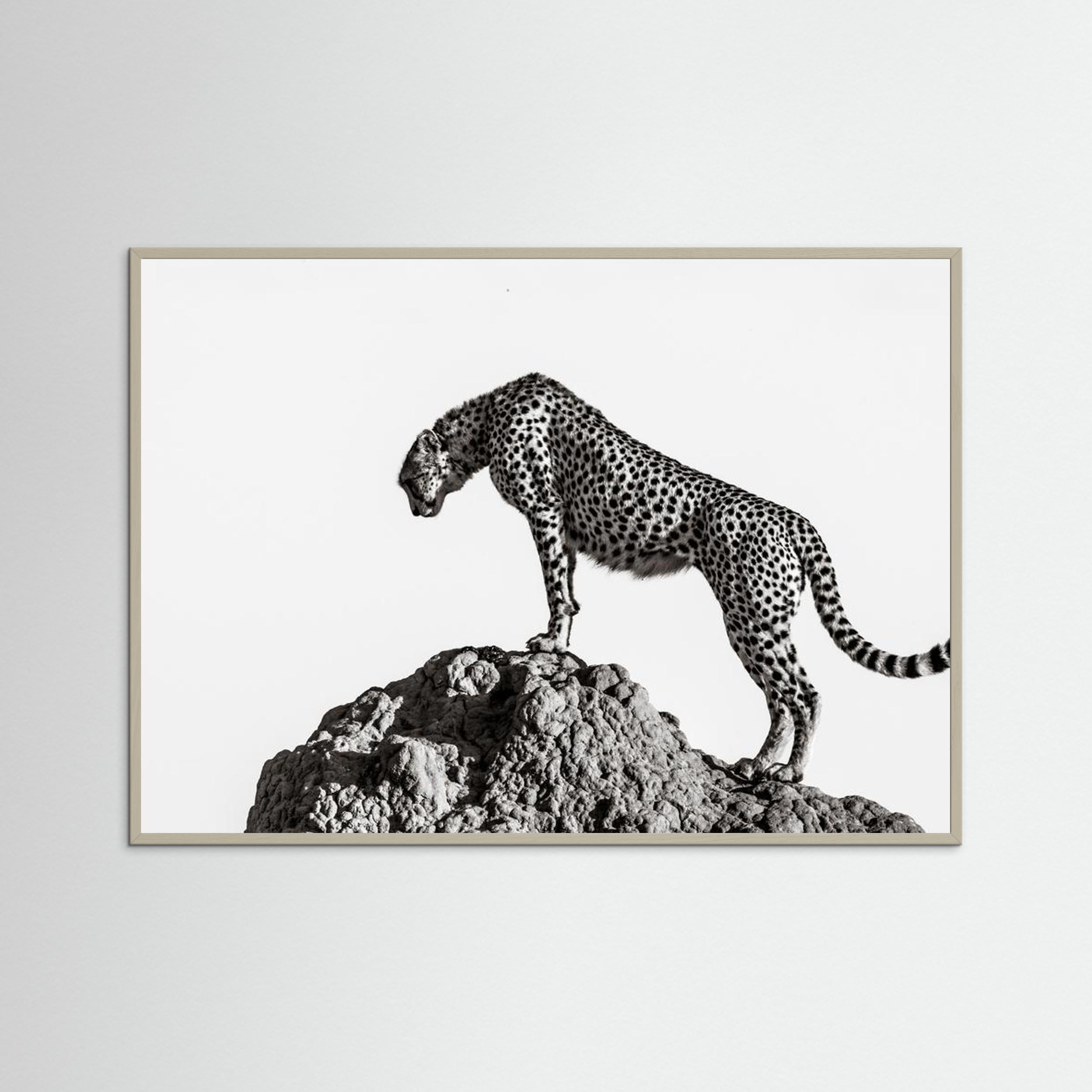 the hunter by Ali Fine Art Paper 