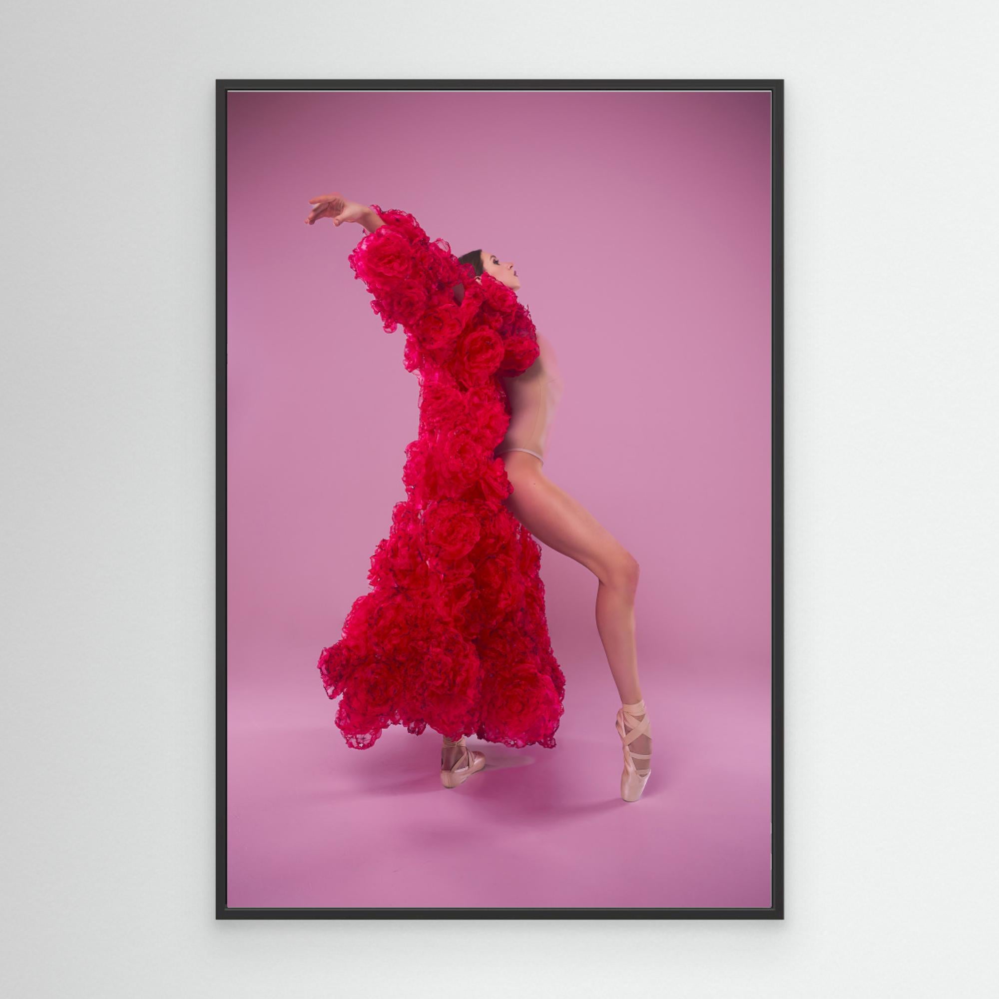 young female ballerina in a photo studio in a cape dress made of rose flowers shows ballet movements by Alexandr Canvas