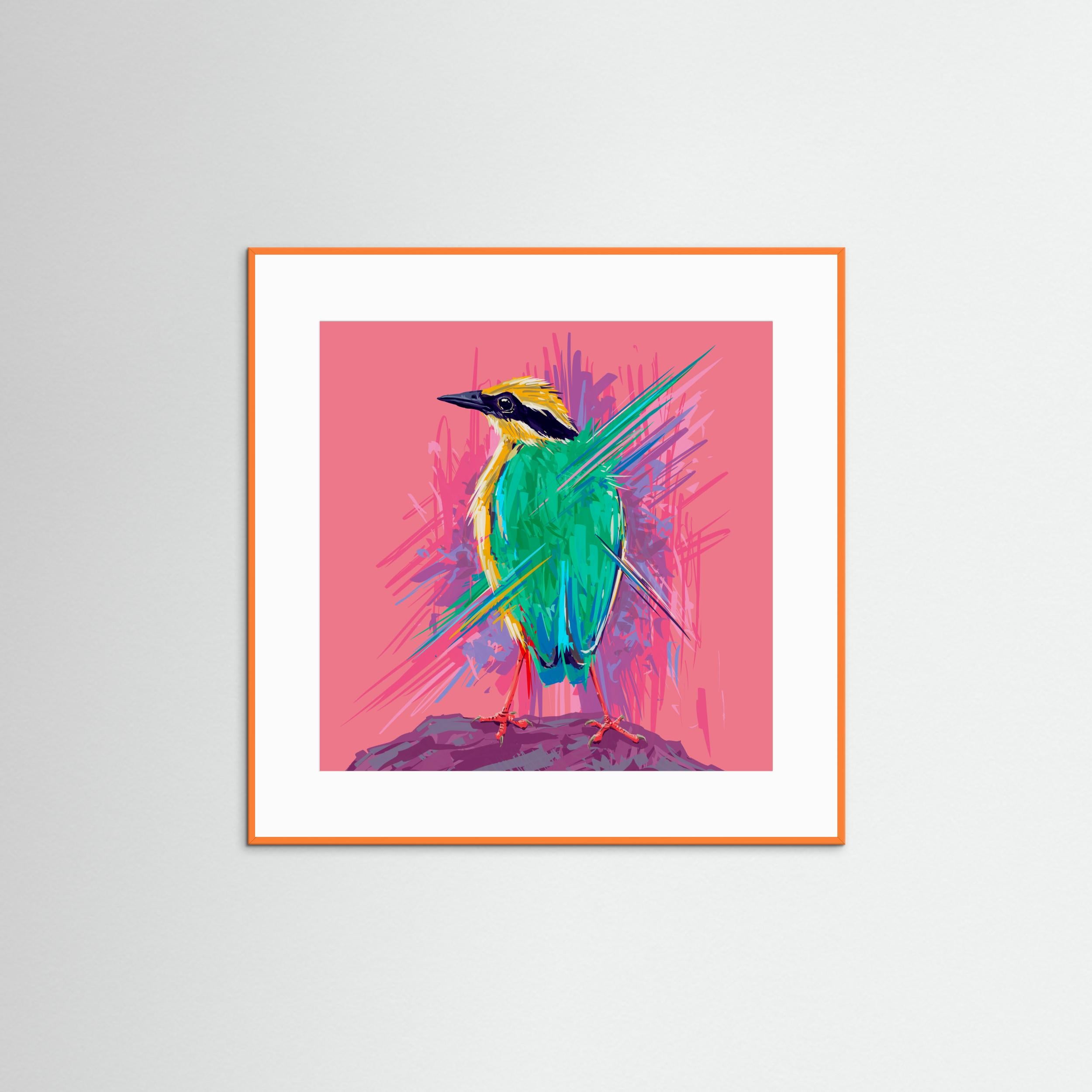 Bird Series   Indian Pitta by Rohan Dahotre Fine Art Paper