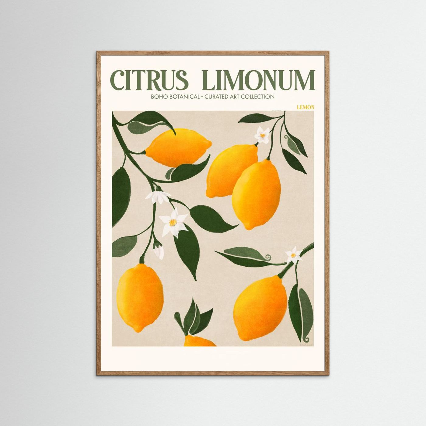 Citrus Limonum - Lemon by Emel Tunaboylu Fine Art Paper