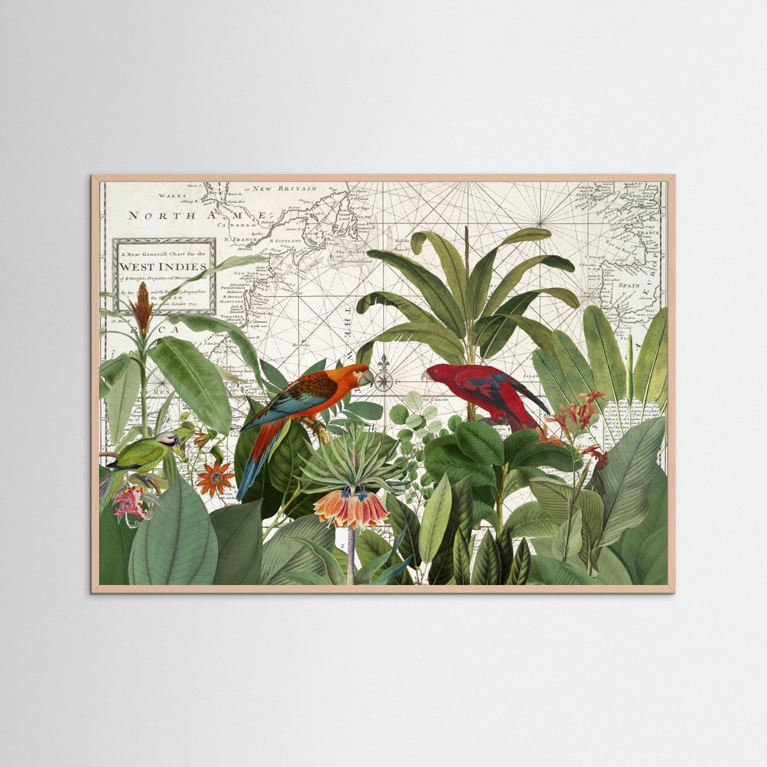 Exotic Wildlife 006 by Andrea Haase