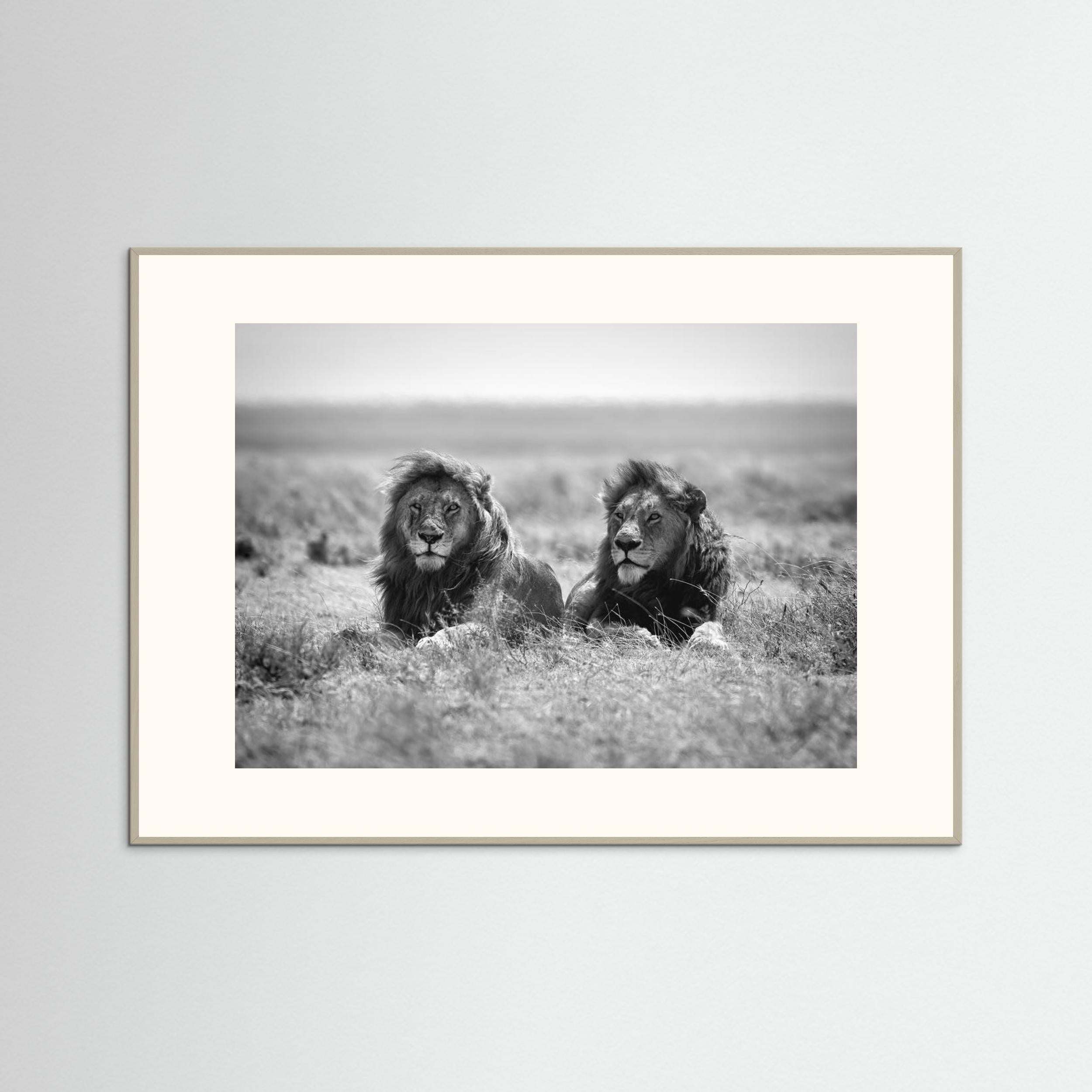 Two kings by Nicolás Merino Fine Art Paper 
