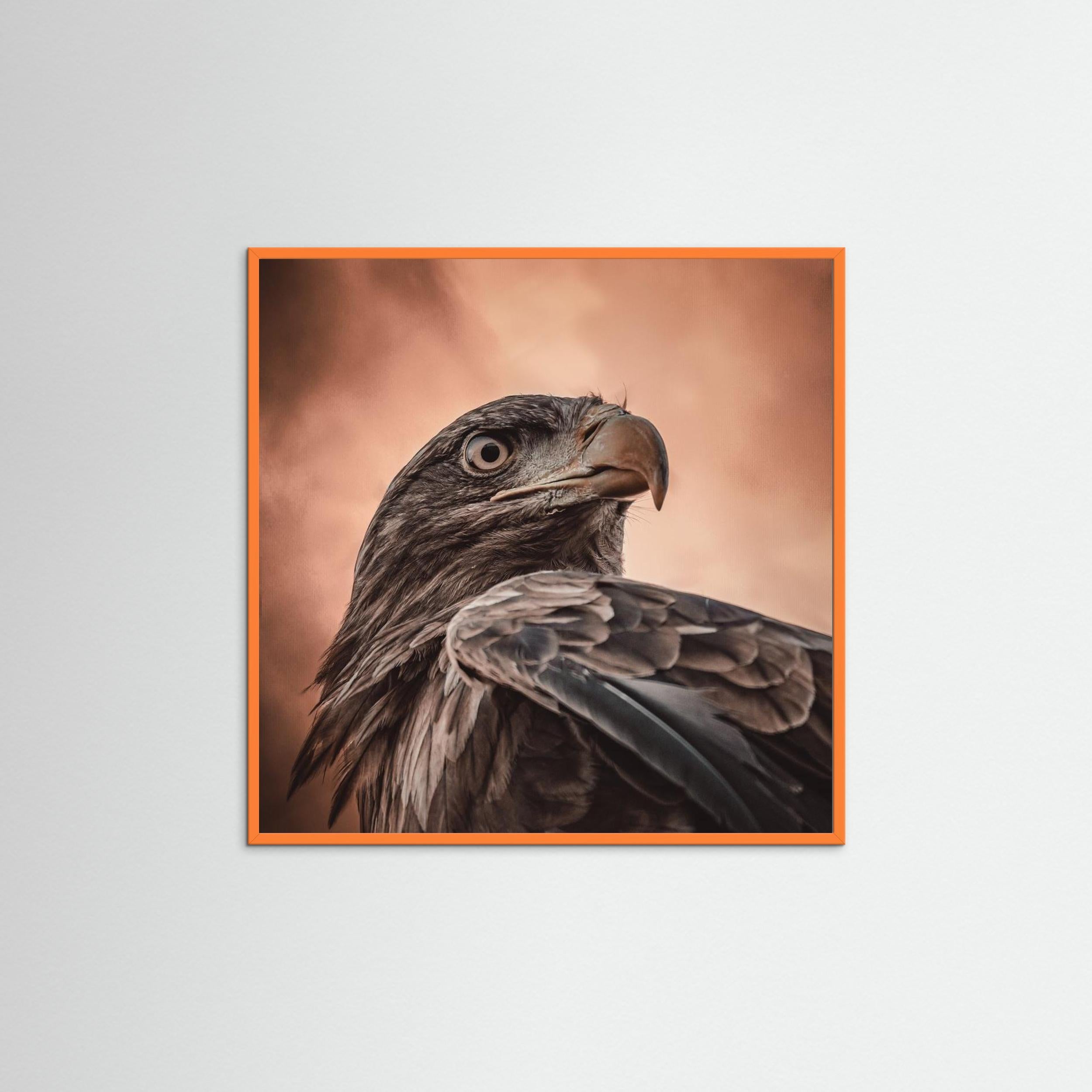 And his eyes saw everything.... by Natascha Worseling Fine Art Paper 