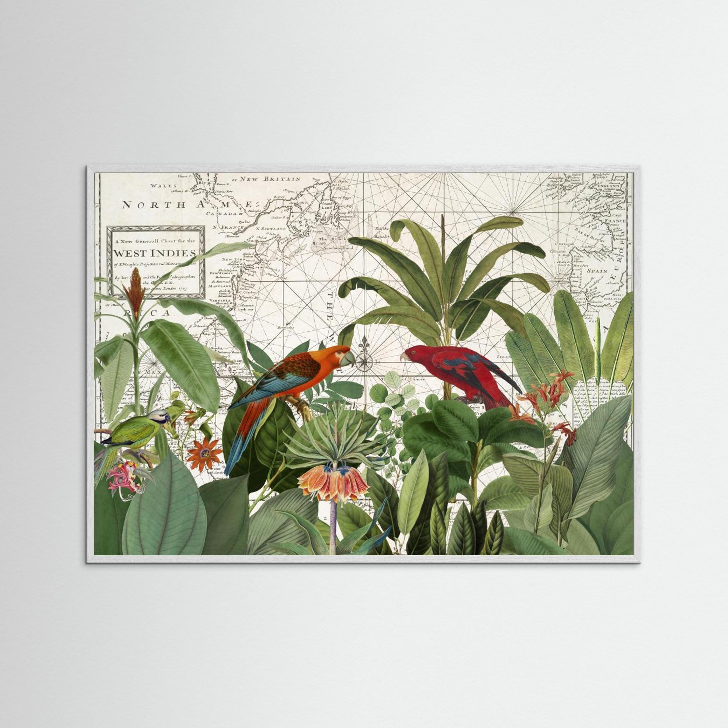 Exotic Wildlife 006 by Andrea Haase