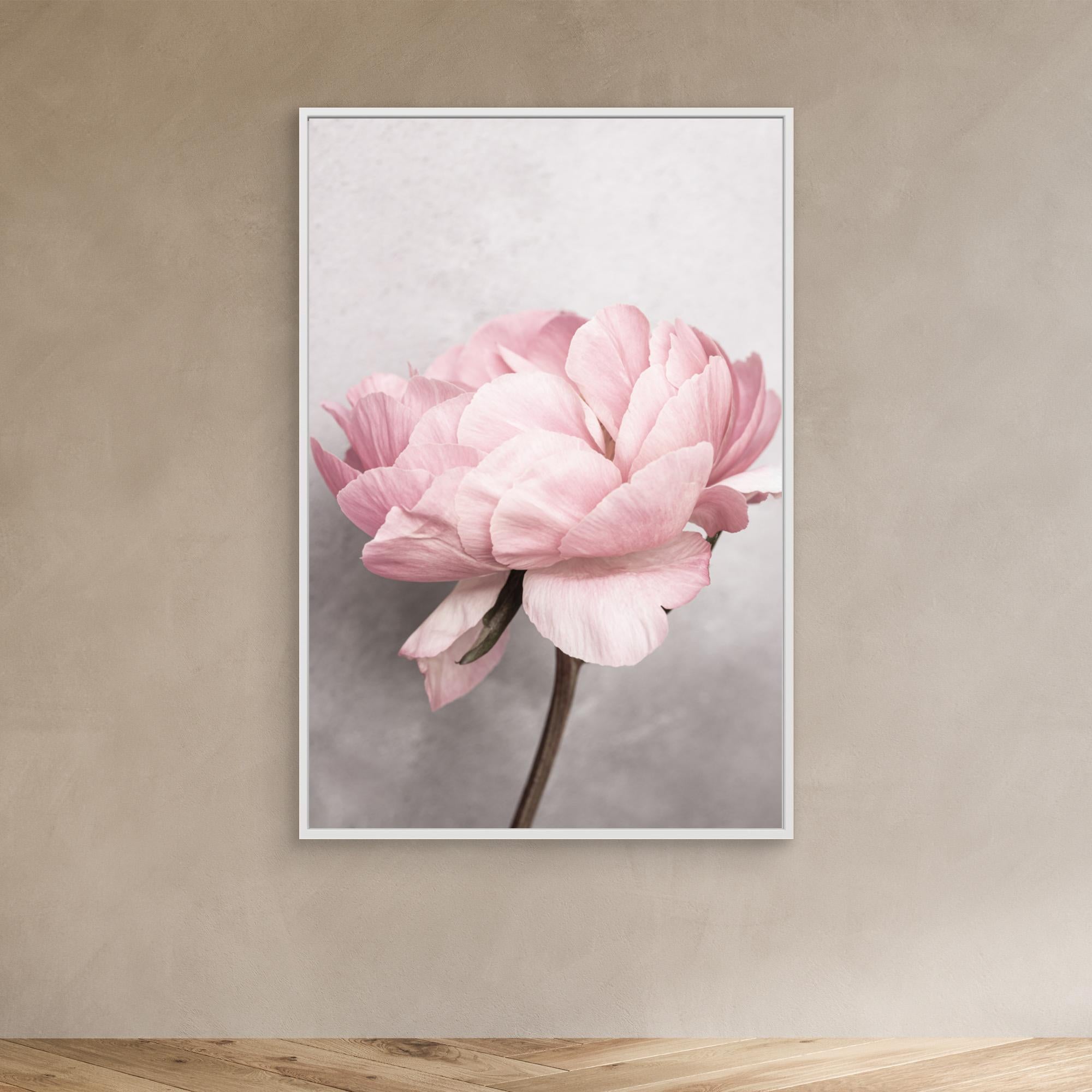 Peony by Kathrin Pienaar