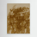 Abstract Florals. Wild flowers in ochre, brown on beige. by Dina Dankers Canvas