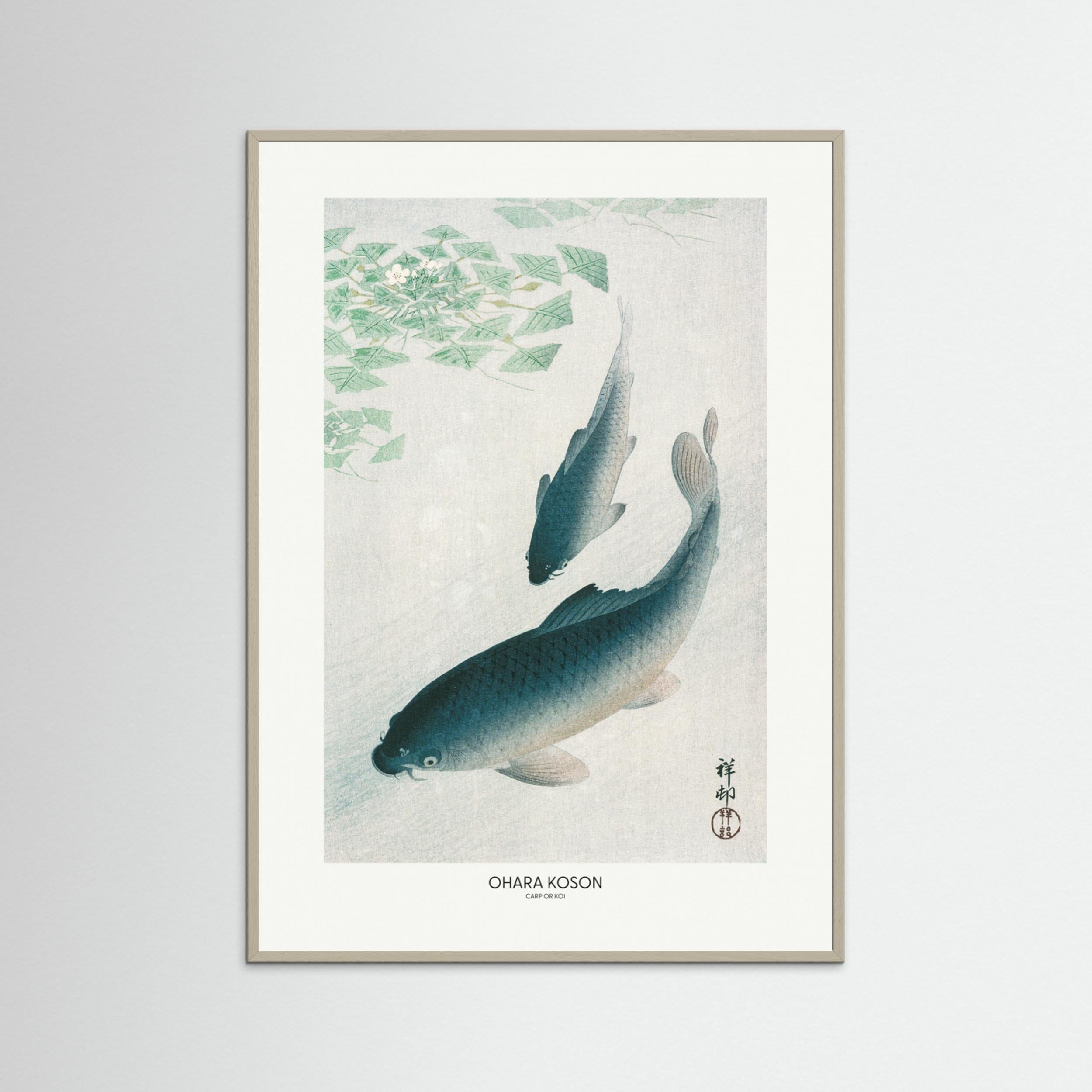 Carp Or Koi Fine Art Paper 