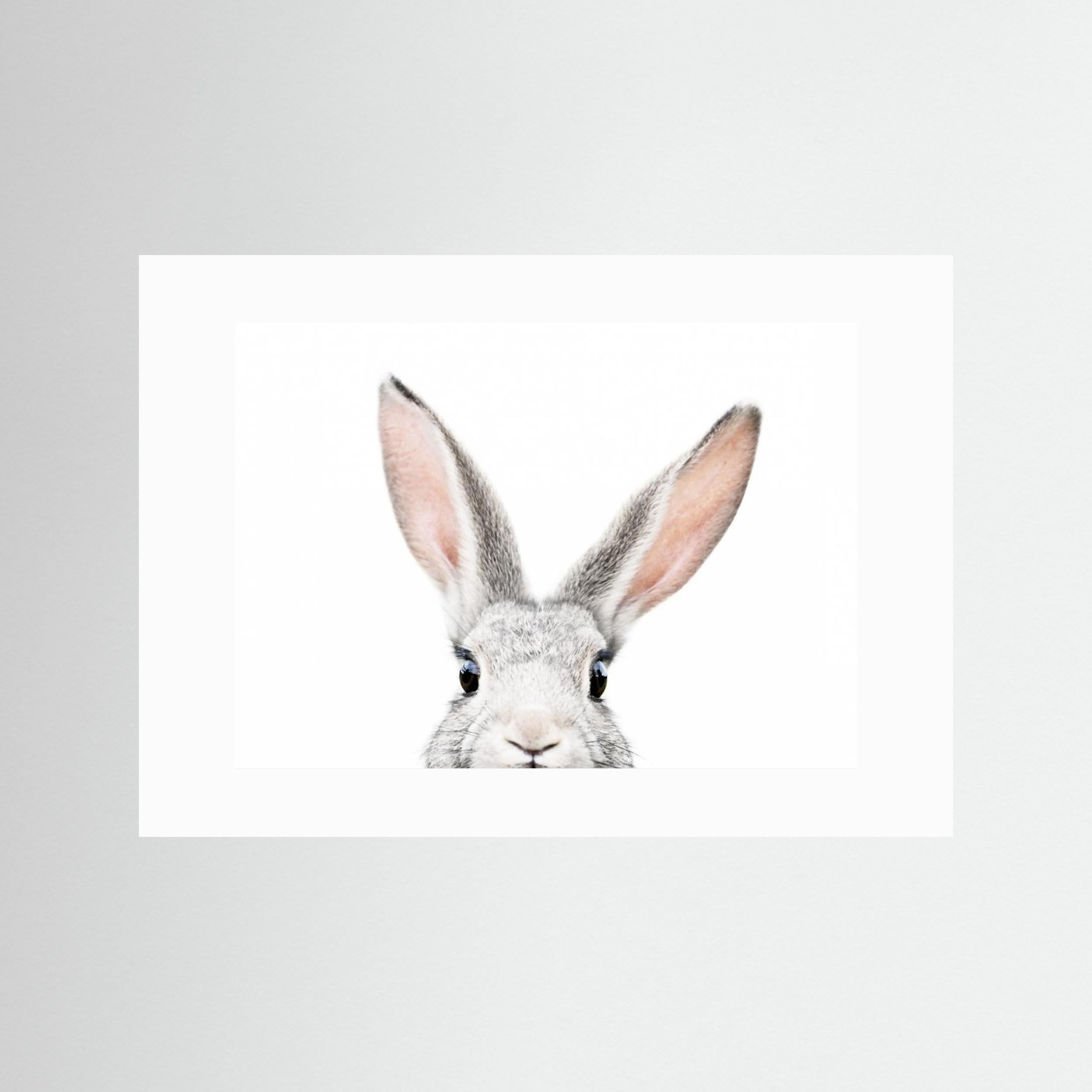 Peeking Bunny by Kathrin Pienaar Fine Art Paper 