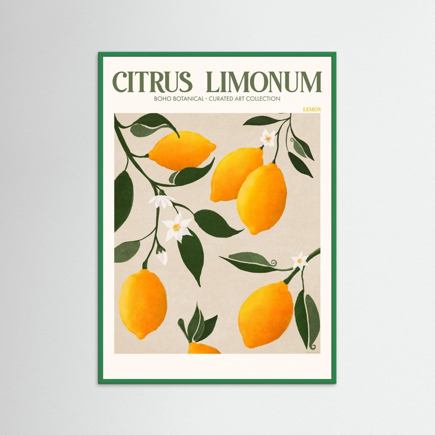 Citrus Limonum - Lemon by Emel Tunaboylu Fine Art Paper
