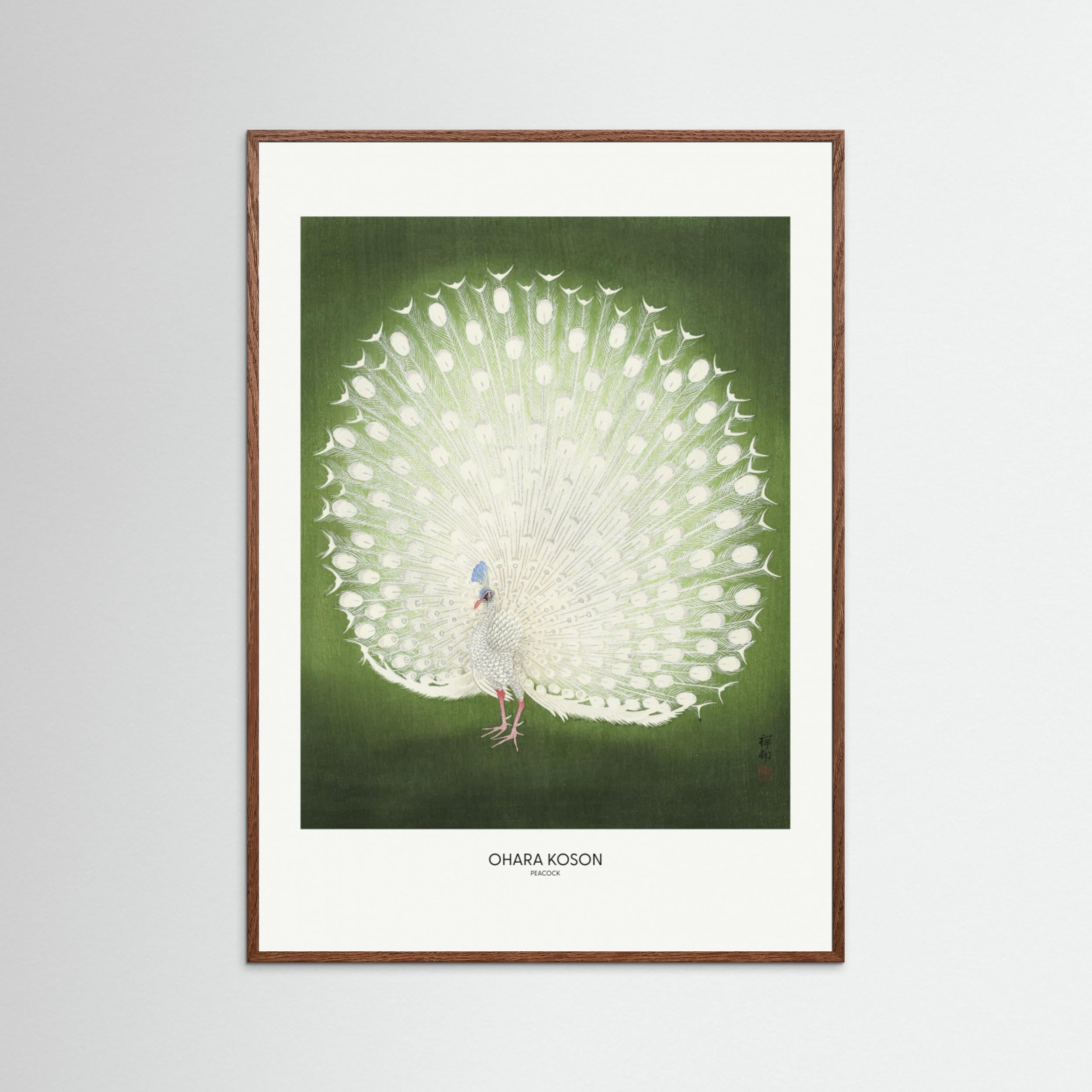 Peacock - Wide Fine Art Paper 