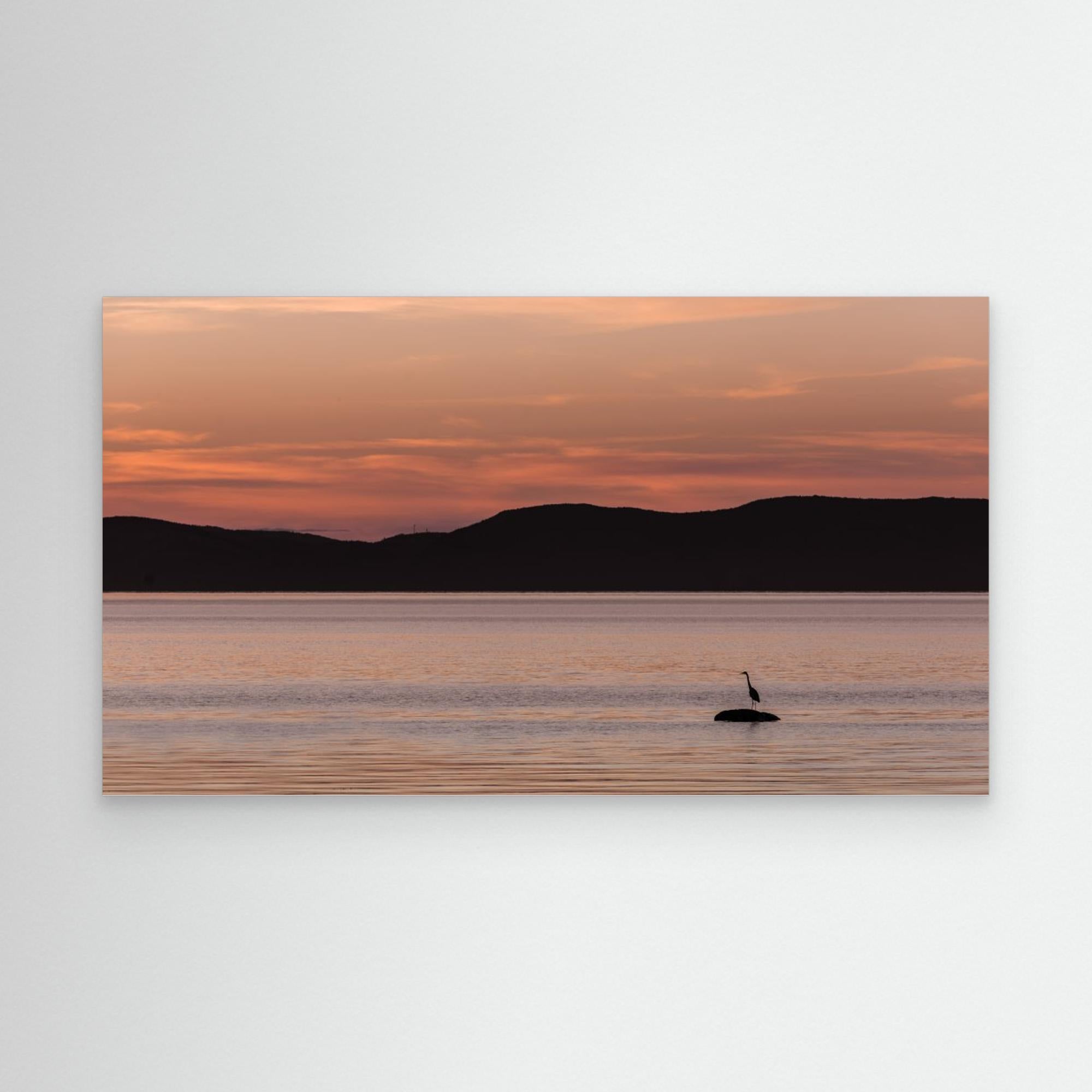 A peaceful wait by Patrick Dessureault Canvas