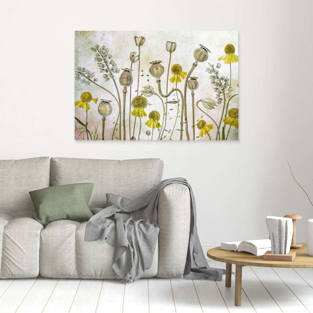 Poppies and Helenium by Mandy Disher