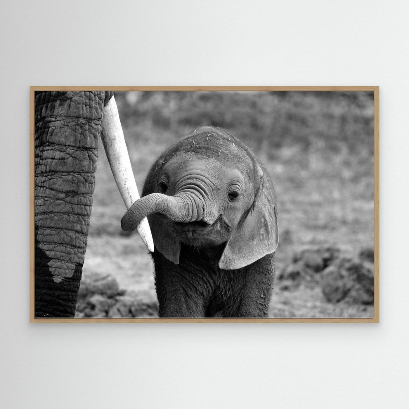 Close by Bjoern Alicke Canvas