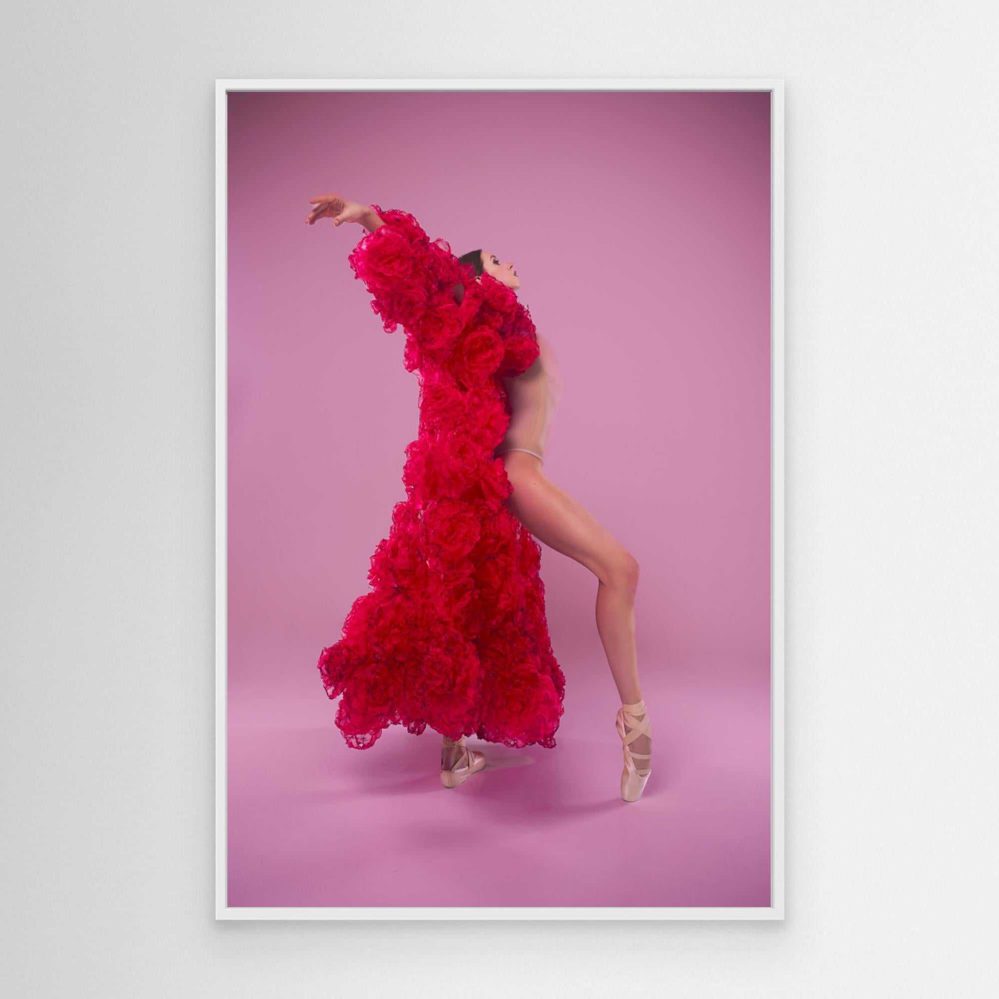 young female ballerina in a photo studio in a cape dress made of rose flowers shows ballet movements by Alexandr Canvas