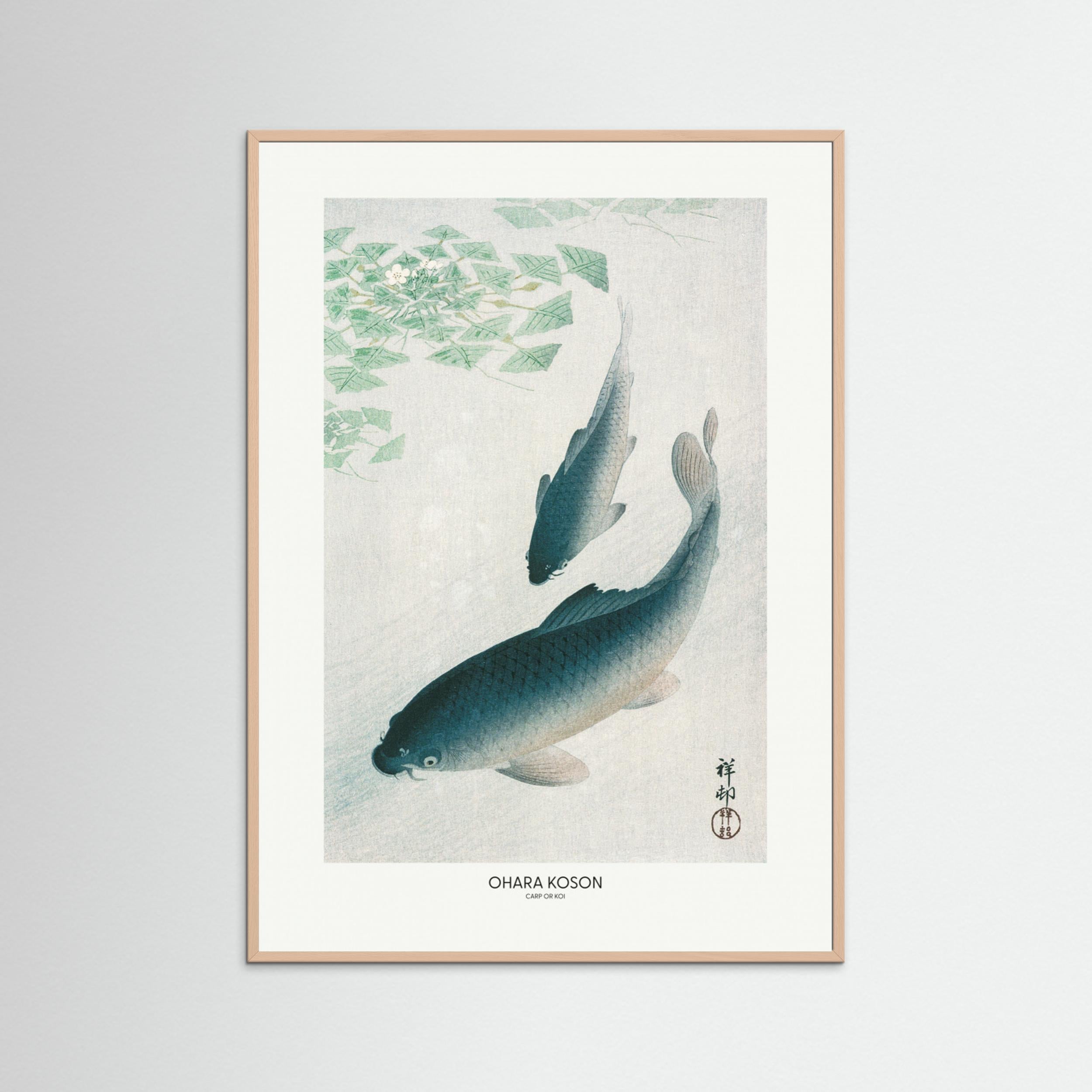 Carp Or Koi Fine Art Paper 