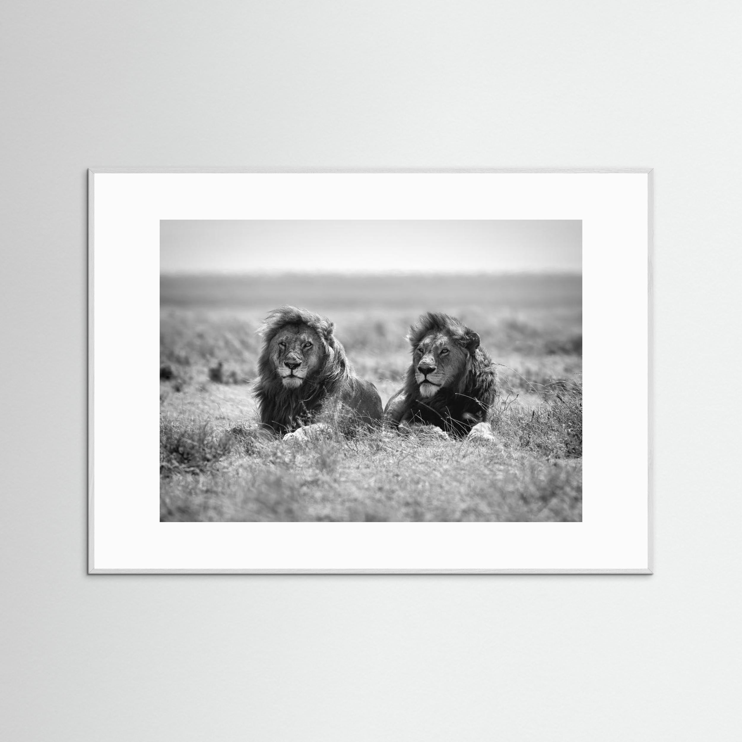 Two kings by Nicolás Merino Fine Art Paper 