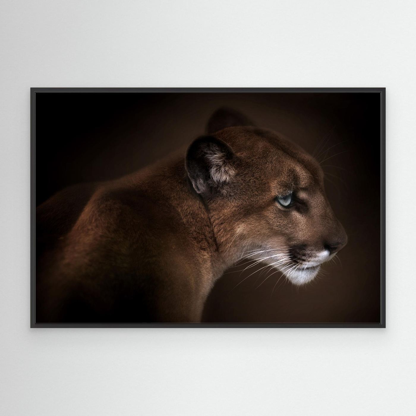 Puma by Doris Reindl Canvas