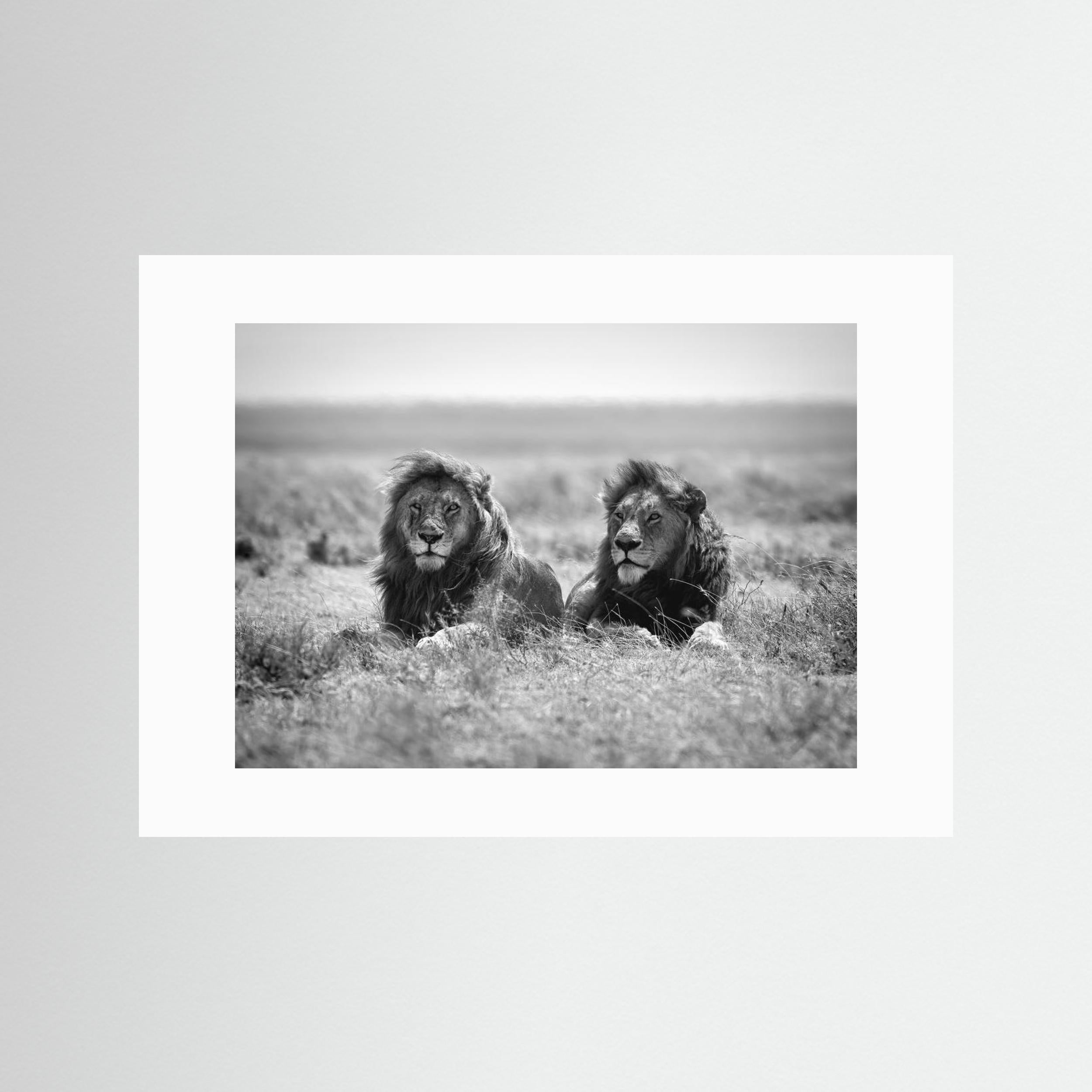 Two kings by Nicolás Merino Fine Art Paper 