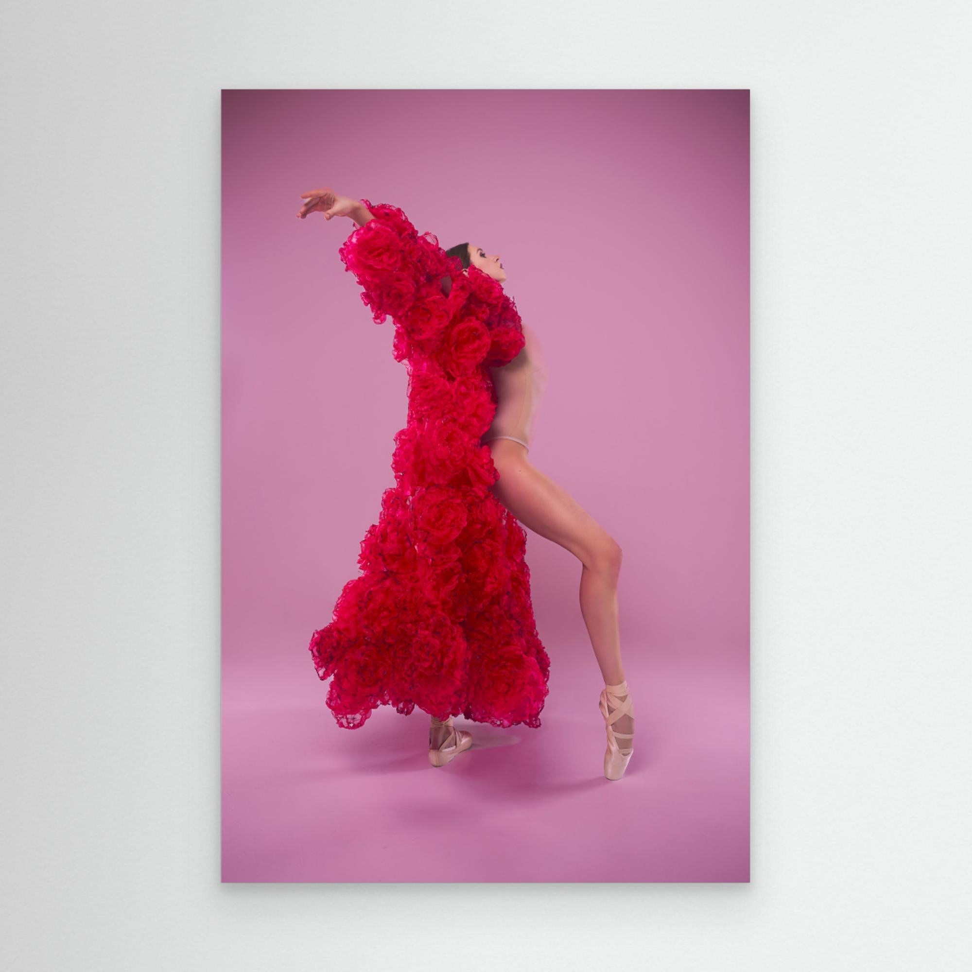 young female ballerina in a photo studio in a cape dress made of rose flowers shows ballet movements by Alexandr Canvas