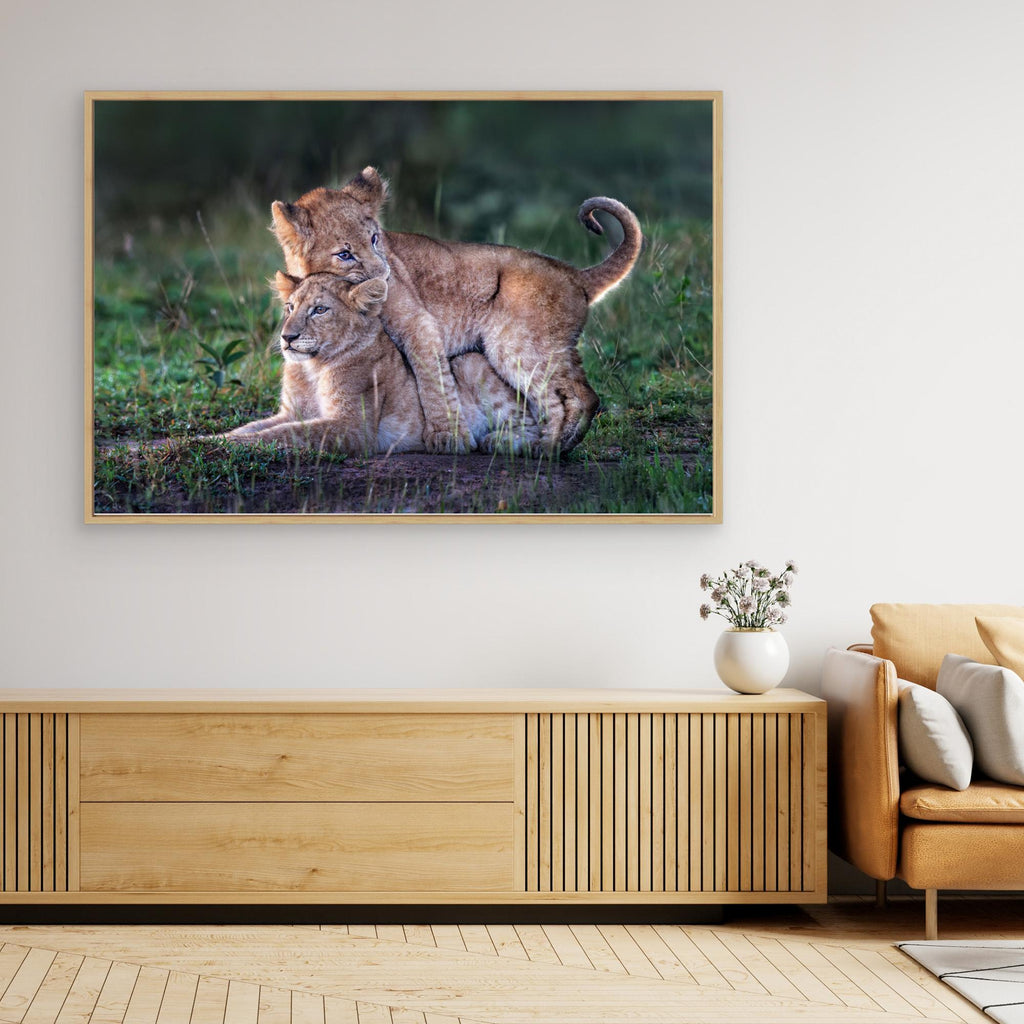 Playful lion cubs by Xavier Ortega Canvas