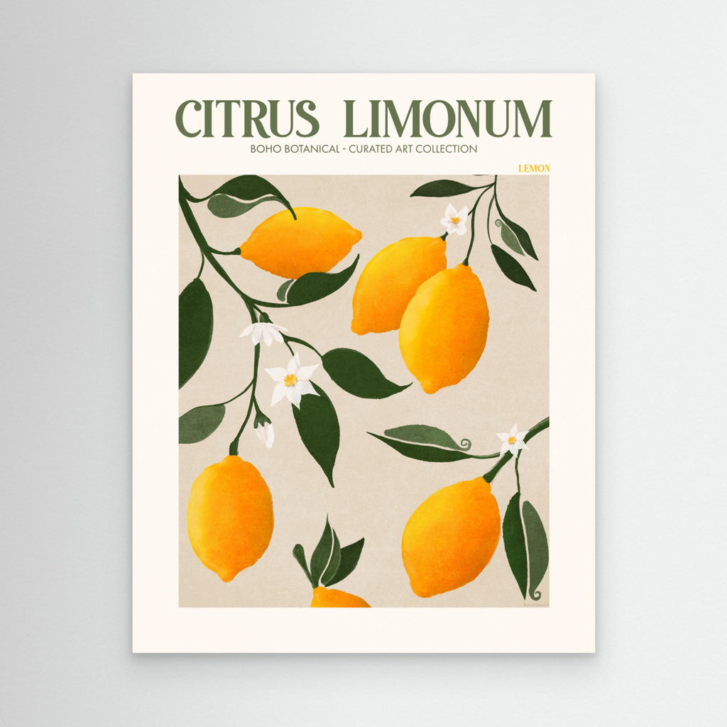 Citrus Limonum - Lemon by Emel Tunaboylu