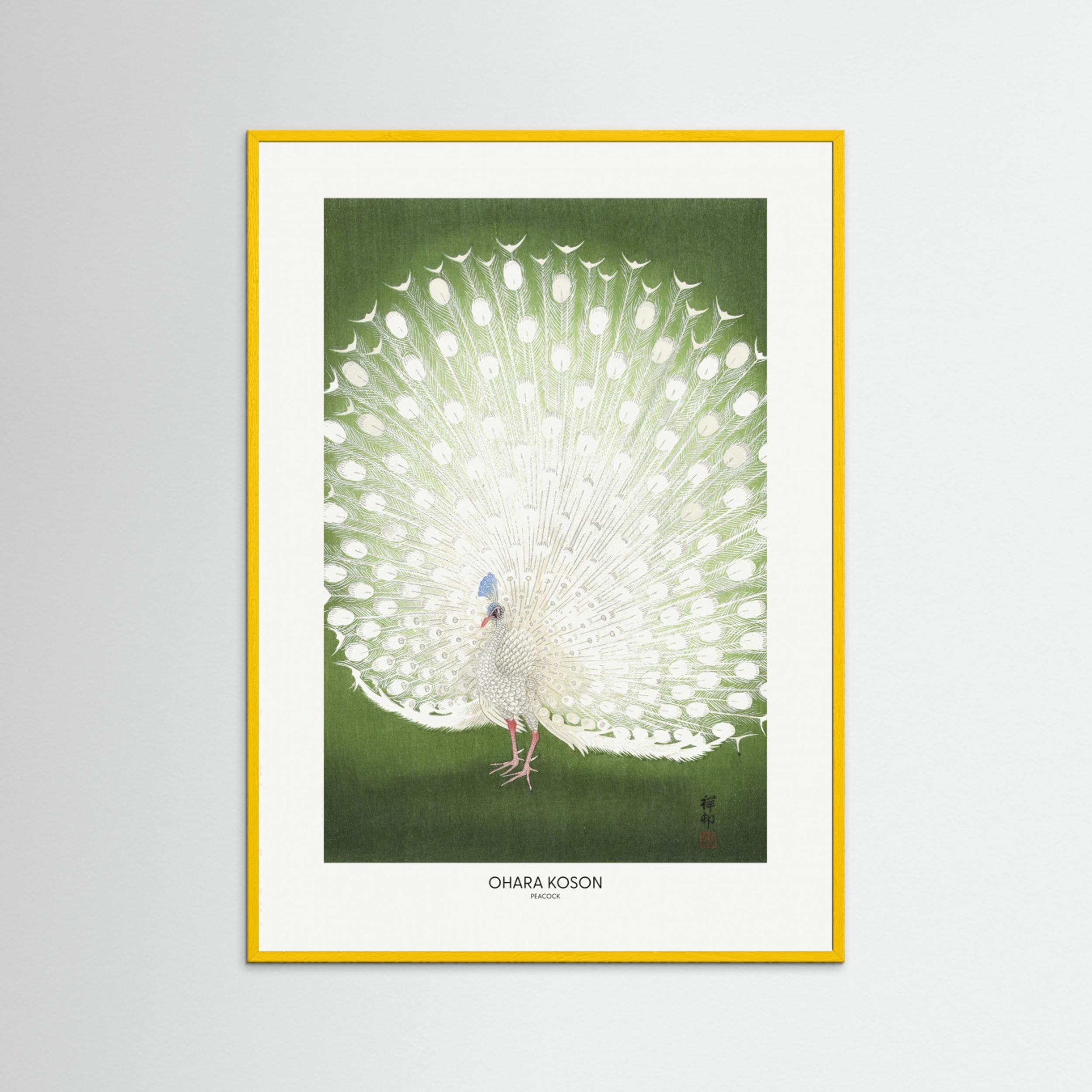 Peacock - Cropped by Pictufy