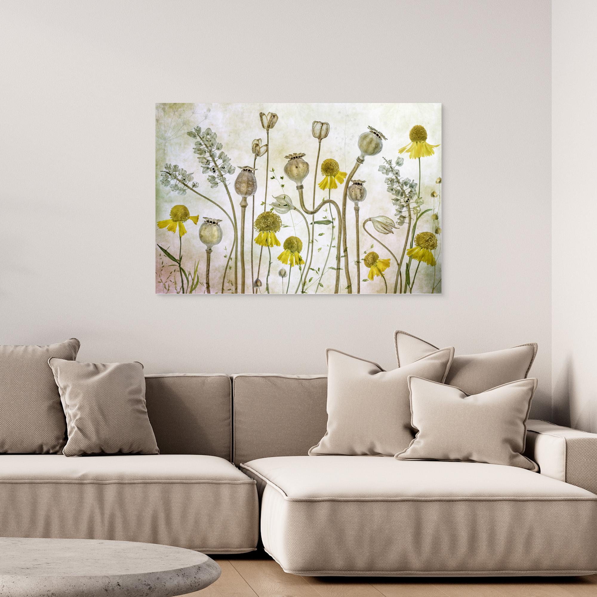 Poppies and Helenium by Mandy Disher