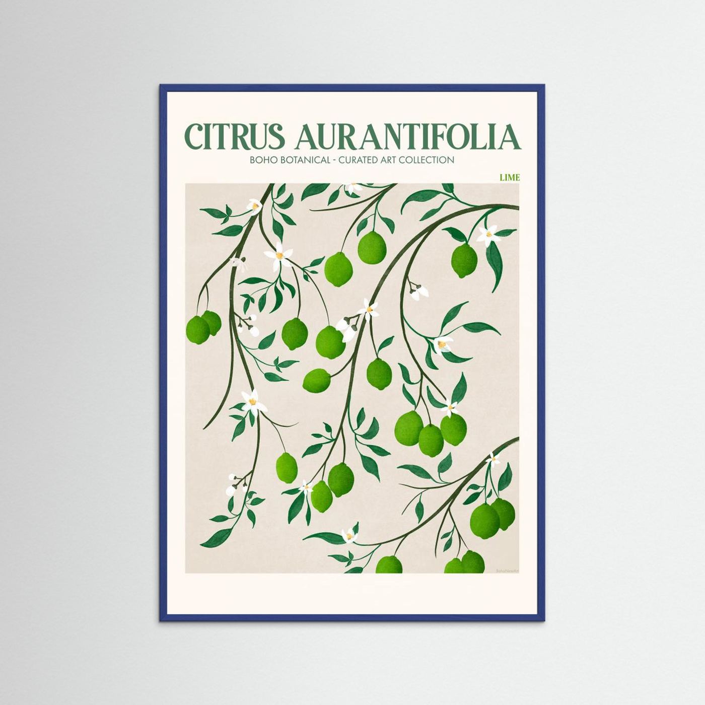 Citrus Aurantifolia - Lime by Emel Tunaboylu Fine Art Paper