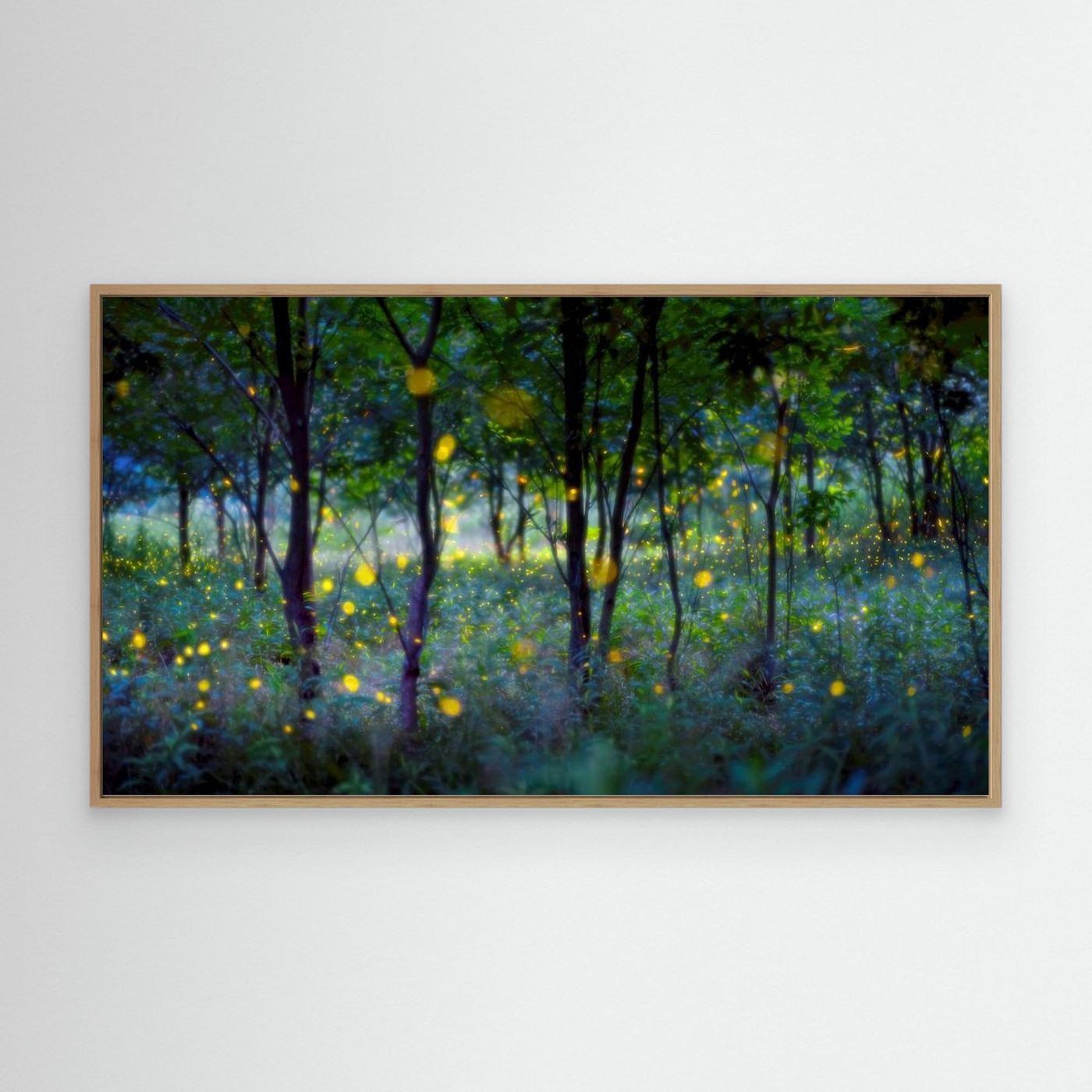 Magic fireflies by Hua Zhu Canvas