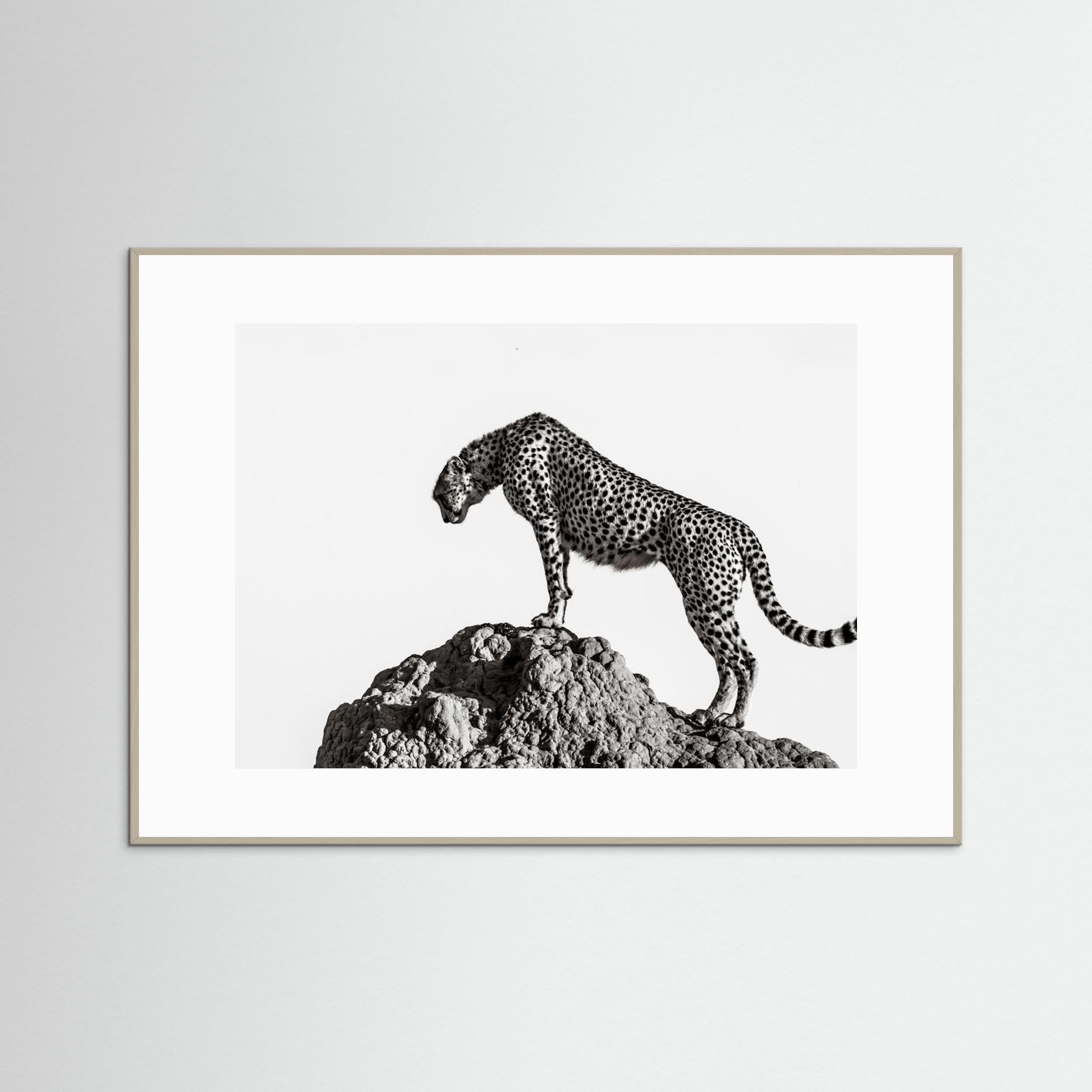 the hunter by Ali Fine Art Paper 
