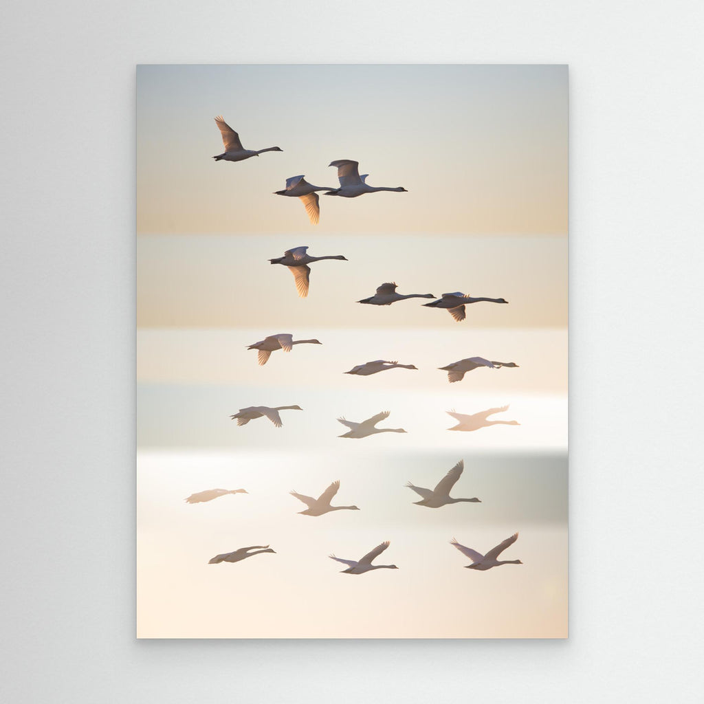 Past the sun. by Leif Løndal Canvas