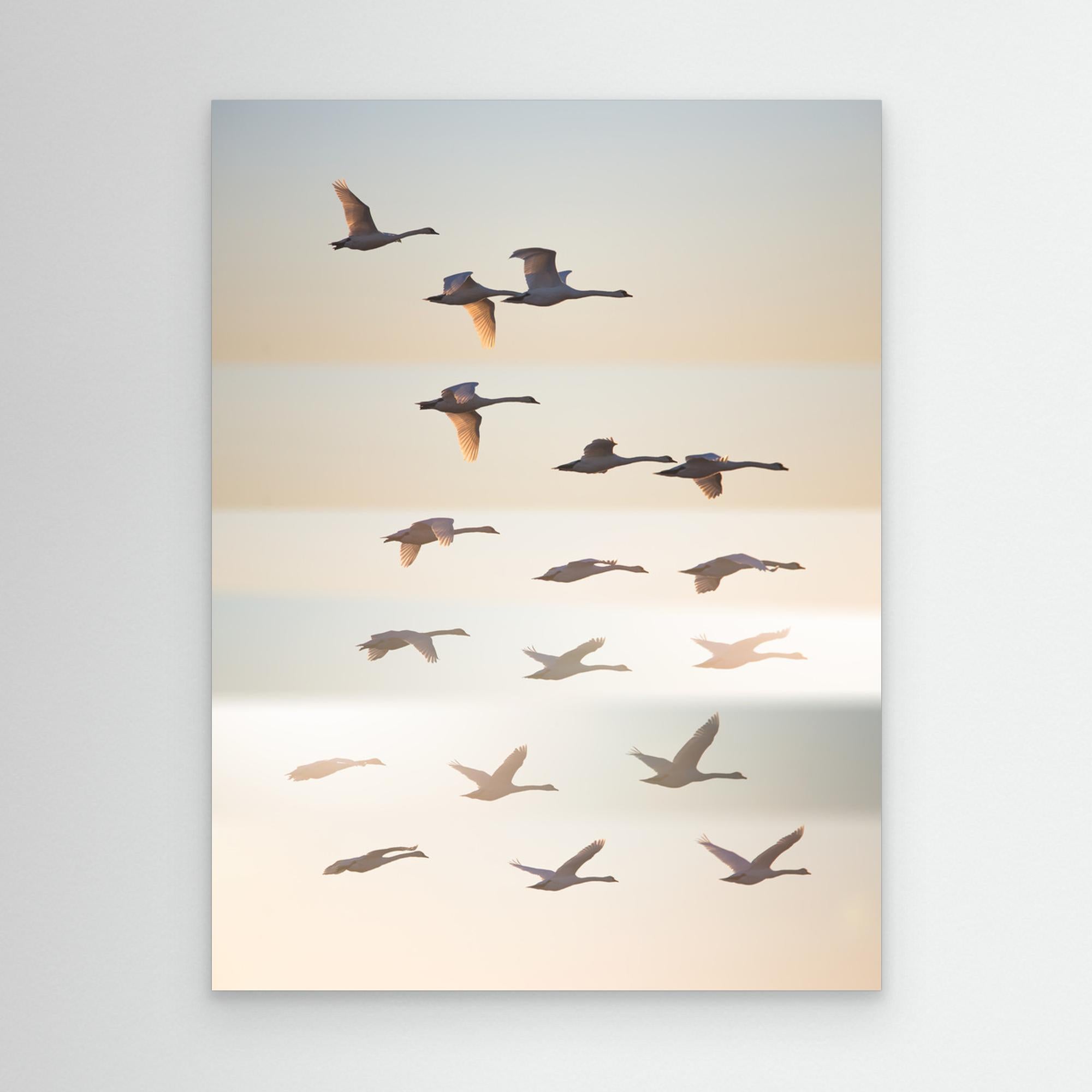 Past the sun. by Leif Løndal Canvas