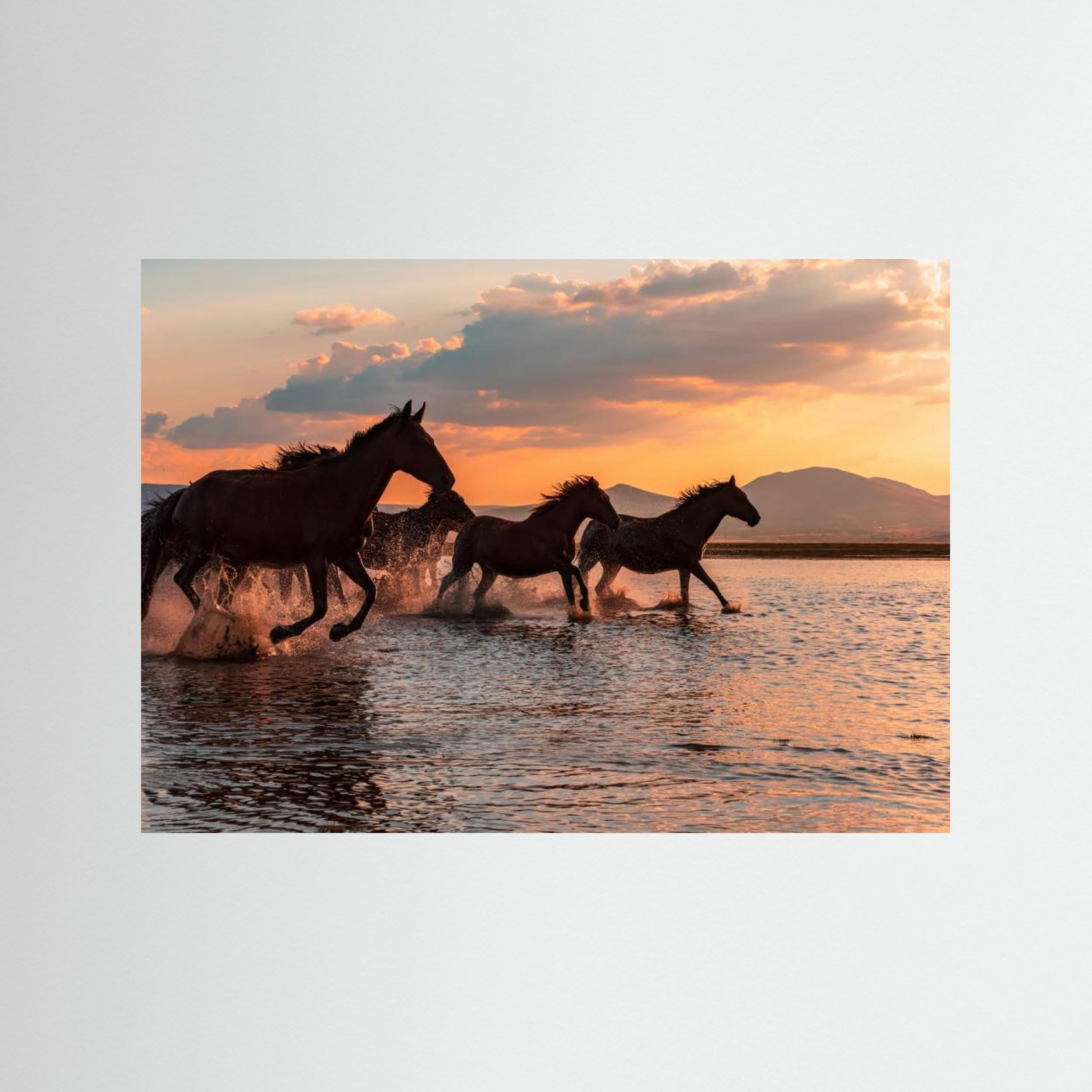 WATER HORSES by Barkan Tekdogan Fine Art Paper