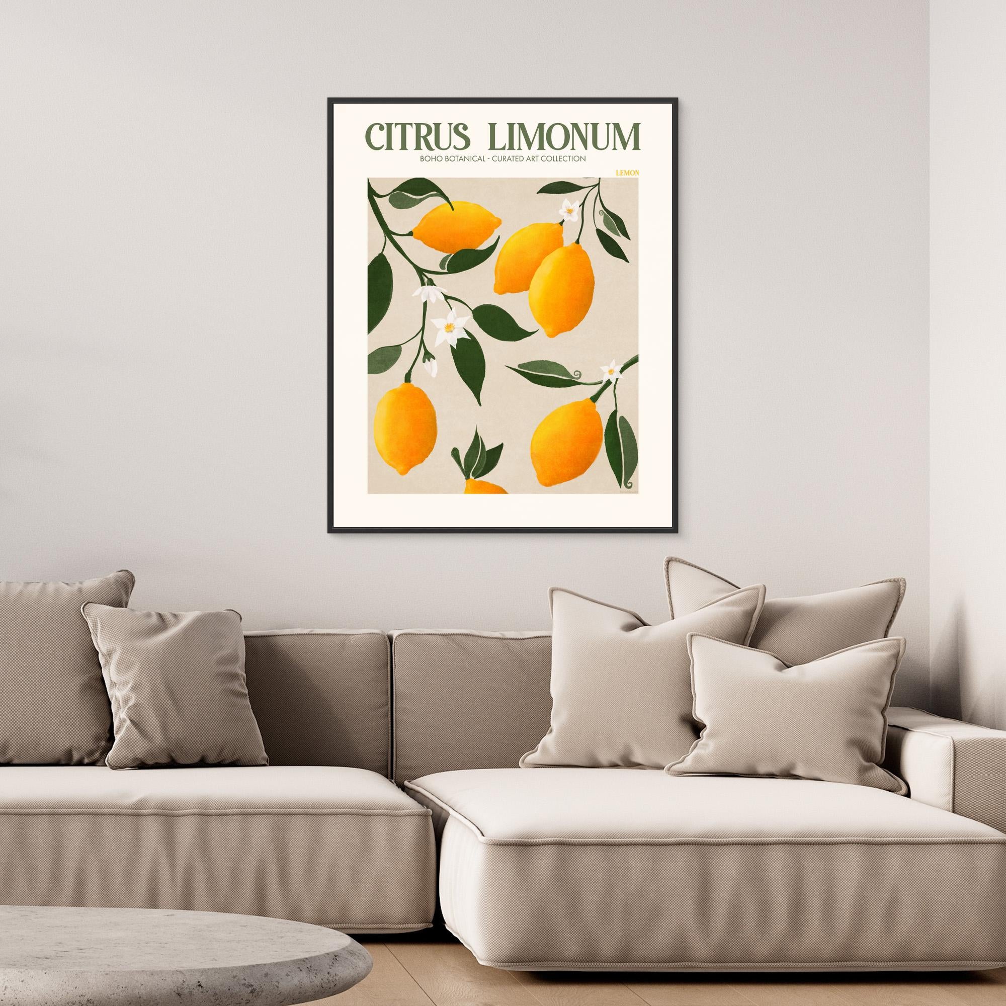 Citrus Limonum - Lemon by Emel Tunaboylu