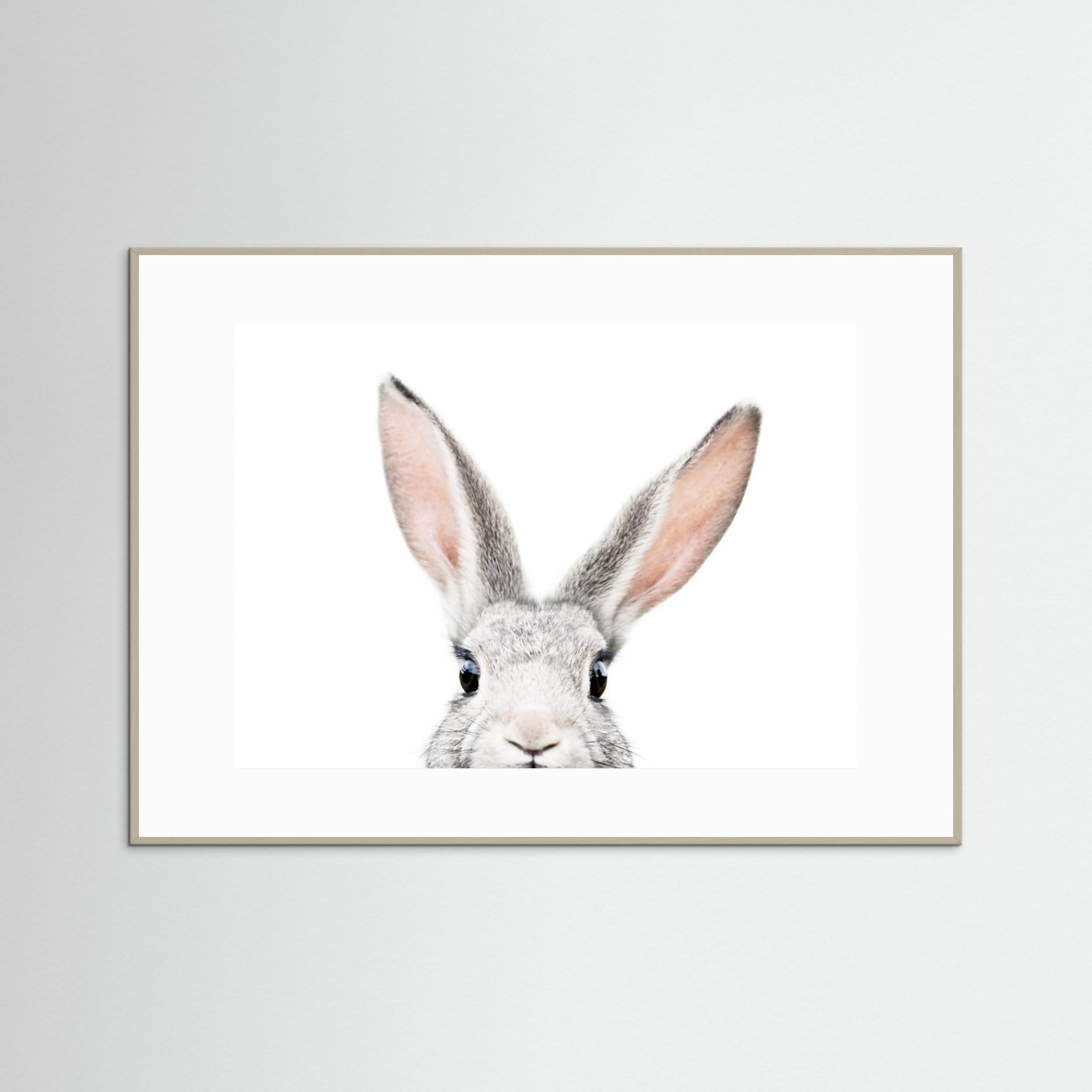 Peeking Bunny by Kathrin Pienaar Fine Art Paper 