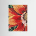 Gazania 1 By Viccy Wanliss by Viccy Wanliss Fine Art Paper 