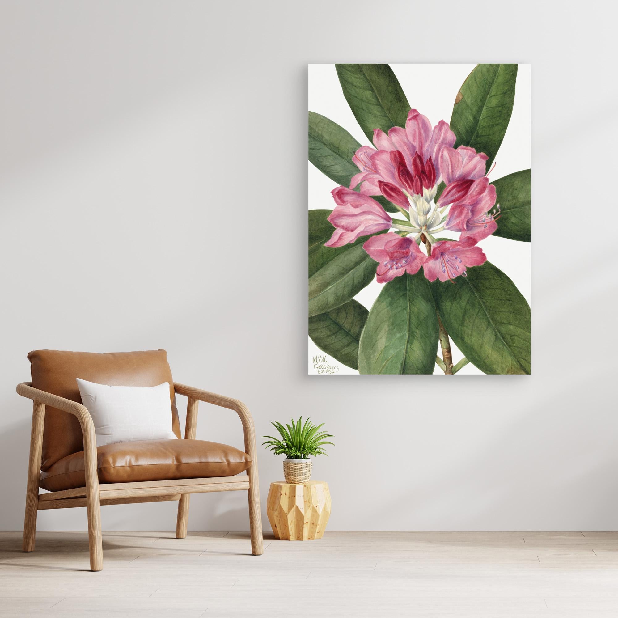 Mountain Rose Bay (1932) by Pictufy