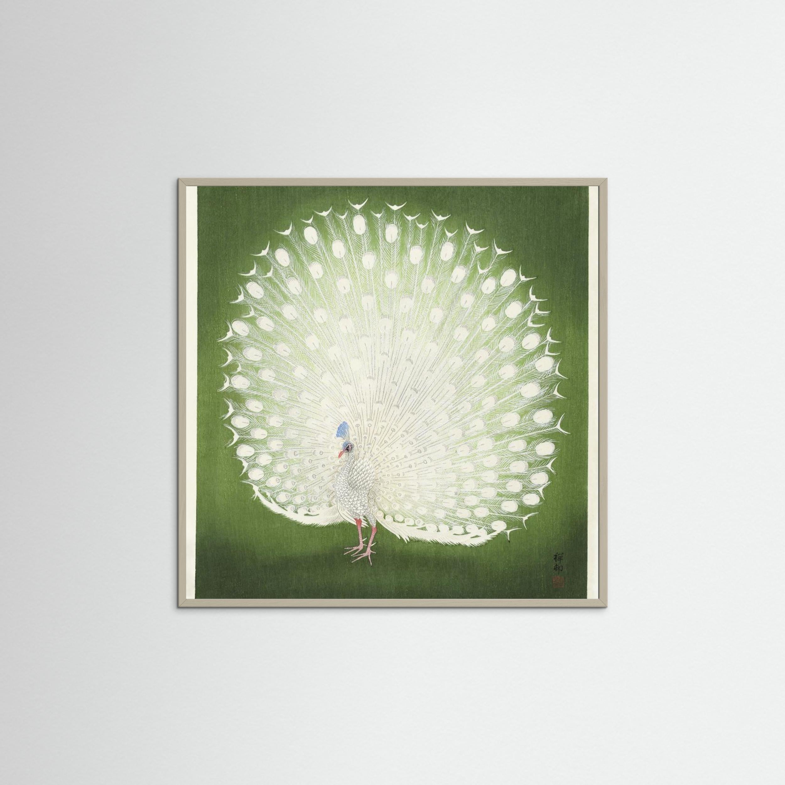 Peacock Fine Art Paper 