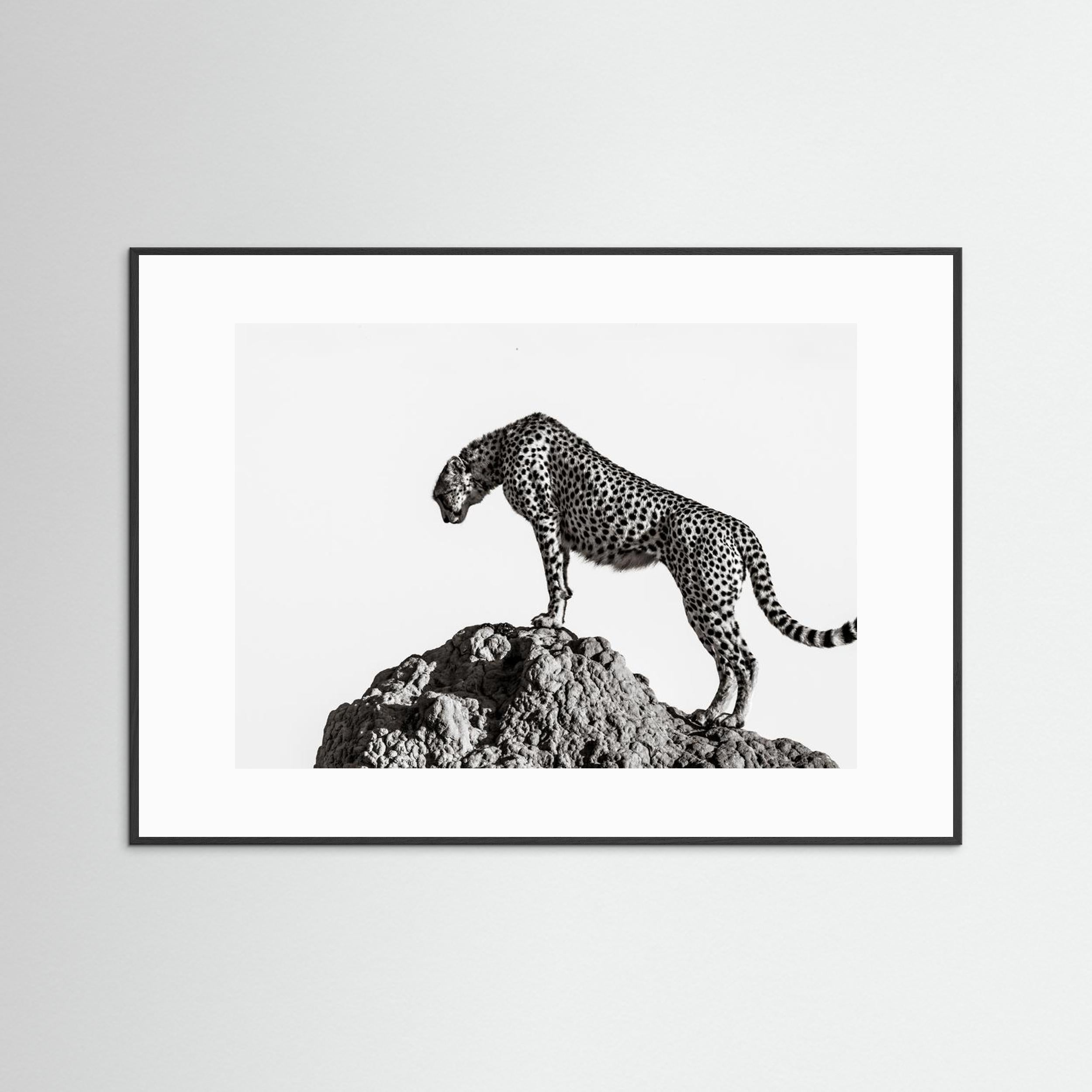 the hunter by Ali Fine Art Paper 