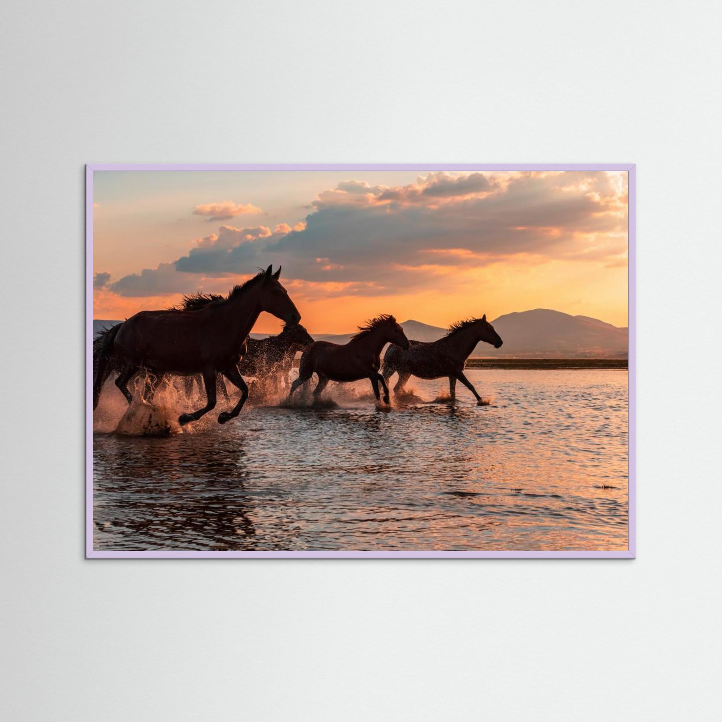 WATER HORSES by Barkan Tekdogan Fine Art Paper